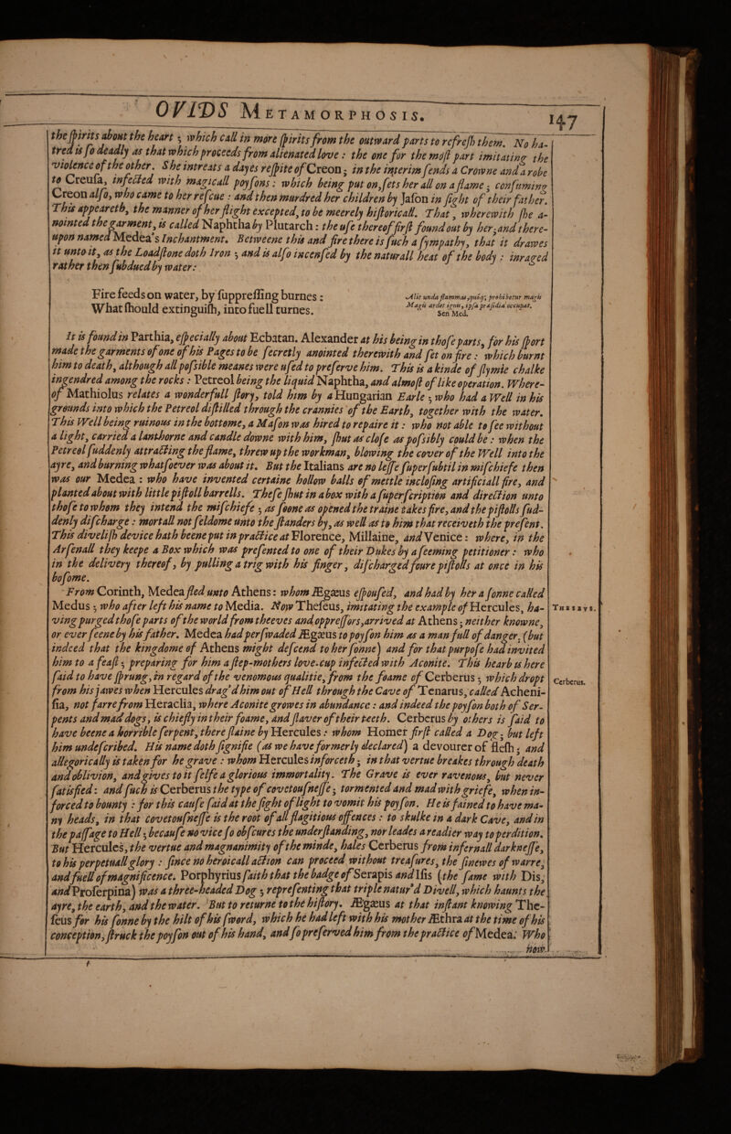 OFWS M etamorphosis. • F* t J f J •, which caU in more fpirhs from the outward parts to rcfrejhthe^. No ha- tred ts jo deadly as that which proceeds from alienated love: the one for the mof part imitating the vioUnce of the other, Sheintreats a day es rejpite of CrQOU; in the interim fends a Crowne and a rohe to Creula, infeaed with 'magi call poyfons: which being put on fets her all on a flame con fuming Creon aljoy who came to her refeue .* and then mnrdred her children by Jafon in fight of their father. This appearetb^ the manner of her flight excepted^ to be meerely hifioricall, That, wherewith fhe 4- trointedthegarmentyis calledl^alphthaby Plutarch: t he ufe thereof fir (I foundoutby her-and there¬ upon named Medea s Inchantmenu Betweene this and fire there isfuch a fjmpathj, that it dr awes tt unto it^ as the Loadflone doth Iron 5 and is alfo incenfed by the naturall heat of the bod^ : inra^ed rather then fubduedby water: Fire feeds on water, by fupprelling burnes: Whatlhould extinguifh, intofuell turnes. ^lit unda flammasprohibetur magU Magif ardet ignis, ipfaprafidia'occupat. Sen Med. It ts found in Parthia, effect ally about Ecbatan. Alexander at his being in thofe parts, for his {port made the garments of one of his Pages to be fecretly anointed therewith and fet on fire: which burnt him to deaths although all pofsible meanes were ufed to preferve him. This is a kinde of fly mie chalke ingendred among the rocks: Petreol being the liquid Naphtha, and almofl of like operation. Where¬ of Mathiolus relates a wonderfull flory, told him by a Hungarian Earle ^ who had a Well in his grounds into which the Petreol diflilled through the crannies of the Earthy together with the water. This WHi being ruinous in the bottomey a Mafon was hired to repaire it: who not able to fee without a lighty carried a lanthorne and candle downe with himy fhutasclofe aspofsibly could be: when the Petreol fuddenly attralling the flamCy threw upthe workman, blowing the cover of the Well into the ayrCy and burning whatfoever was about it. But the Italians are no lejfejfuperfubtil in mifehiefe then was our Medea : who have invented certaine hollow balls of mettle inclofing artificiallfrey and planted about with little pijloll barrells, Thefe Jhut in a box with a fuperfeription and direction unto thofe to whom they intend the mifehiefe ^ as foone as opened the traine cakes fire, and the piflolls fud¬ denly difeharge: mortall not feldome unto the jlanders byy as well as to hint that receiveth the prefent. This diveli/h device hath beeneput in practice at Florence, Millaine, and'Vcnict: where, in the Arfenall they keepe a Box which was prefentedto one of their Dukes by a feeming petitioner: who in the delivery thereof, by pulling a trig with his finger, difcharged four e pifloUs at once in his bofome, . - From Corinth, Medea fled unto Athens: whom iEgaeus ejpoufed, and had by her a fbnne caUed Medus who after left his name to Media. Now Thefeus, imitating the example (?/Hercules, ha¬ ving purged thofe parts of the world from theeves and oppr efforSySrrived at Athens; neither knowne, or ever feeneby hisfather. Medea hadperfwaded j^goeus to poyfon him as a man full of danger^ (but indeed that the kingdome of Athens might defeend toherfonne) and for that purpofe had invited him to a feafl • preparing for him a ftep-mothers love-cup infeCied with Aconite, This hearb ts here faid to have fprungyin regard of the venomous qualitieyfrom the foame Cerberus 5 which dropt from his j awes when Hercules drag d him out of Hell through the Cave ofTenzxns^caUed Acheni- fia, not farre from Heraclia, where Aconitegrowes in abundance: and indeed the poyfon both of Ser¬ pents and mad dogSy is chiefly in their foame, andjlaver of their teeth, Cerberus by others is faid to have beenea horribleferpenty thereflaine by Hercules .* whom Homer firfl caded a Dog. but left him undeferihed. His name doth flgnifie (as we have formerly declared) a devourer of flefli * and allegorically is taken for he grave: whomUtrcnlcsinforceth • inthatvertue breakes through death and oblivion, and gives to it felfe a glorious immortality. The Grave is ever ravenous, but never fatisfied: and fuch is Ccvbexus the type of covetoufnejfe-^ tormented and mad with griefe, when in- forced to bounty : for this caufe faid at the fight of light to vomit his poyfon. He is fained to have ma- m heads, in that covetoufneffe is the root of allflagitious offences: to skulke in a dark Cave, and in the paffage to Hell • be caufe no vice Jo obfeures the underflanding, norleades a readier way to perdition. But Hercules, the vertue and magnanimity oftheminde, hates Cerberus from infcrnalldarkneffe, to his perpetUdllglory : fince noheroicall aHion can proceed without treafures, the flnewes of warre, andfuell of magnificence. Voxiphytins faith that the badge ofStx^^isandlii% {the fame with Dis; 4i;rfProferpina) wa^s a three-headed Dog •, reprefenting that triple natufd Divell, which haunts the, ayre, the earth, and the water. But to returne to thd hiflory. .ffig^us at that inftant knowing The- ^ fcus for his fonne by the hilt ofhisfword, which he had left with his mother ^thxa at the time of his conception, fl;ruck the poyfon out of his hand, andfo preferred him from the praCfice ^/Medea‘; Who hilt Tks says. Cerberus.