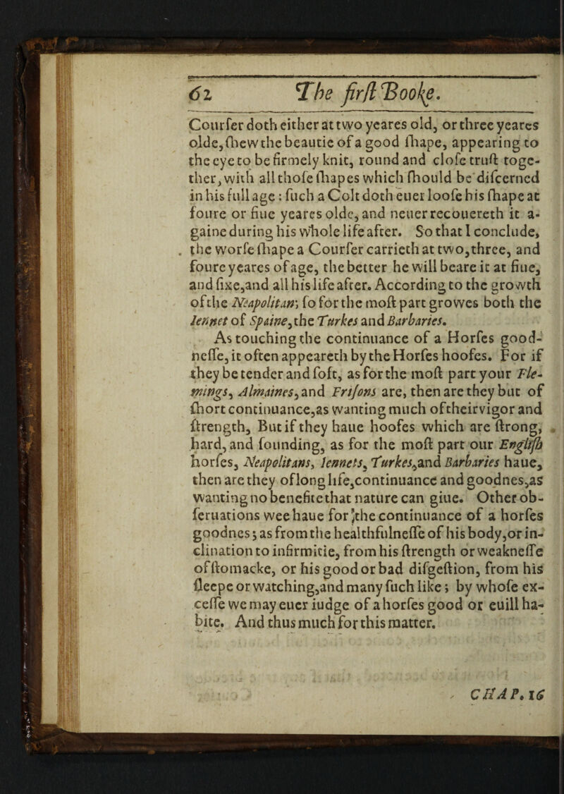 Cour fer doth cither at two yeares old, or three yeares olde,fbewthebeautieofagood Hi ape, appearing to the eye to be firmely knit, round and clofetruft toge¬ ther, with allthofefhapes which fhould be difcerned in his full age; fuch a Colt doth euer loofe his fhape at fotire or fine yeares oldc, and neuerrecouereth it a- gaine during his whole life after. So that I conclude, the worfelhapea Courfercarricth at two,three, and foure yeares of age, the better he will beare it at fiuc, and fixe,and all his life after. According to the growth ofi\\e Neapolitan) fo for the moft part growes both the Jennet of Spaine, the Tittrkes and Barbanes. As touching the continuance of a Horfes good- ncffe, it often appeareth by the Horfes hoofes. For if they be tender and foft, as for the moft part your Fle¬ mings, Almaine$,zx\d Frijons are, then are they but of fhort continuance?as wanting much oftheirvigor and ftrength, But if they haue hoofes which are ftrong, hard, and founding, as for the moft part our Engltjh horfes, Neapolitans, Jennets5 Turkes^znd Barb tries haue, then are they of long life,contintiance and goodnes,as wanting no benefitcthat nature can giue. Other ob- feruations weehaue for Jthecontinuance of a horfes goodnes 5 as from the healthfulnefle of his body,or in¬ clination to infirmitie, from his ftrength or weakneffe offtomacke, or his good or bad difgeftion, from his fleepe or watching,and many fuch like; by whofe cx- ceffe wemayeuer iudge of a horfes good or euillha-* bne. And thus much for this matter.