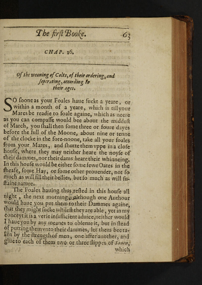 1The firjl'Booke, r rr^ l CHAP. 16. 5 r * ' A f ' W ---— f •*. Of the weaning of Colts, of their ordering., and federating, according fo their ages. i r ‘ ' f • -•? •*, •• tft s ■ » , ,* c r ' t : • *• • )• SO fooneas your Foales haue fuckt a years, or within a month of a yearc, which is till your Mares be readieto foale againe, which as neere as you can compafle would bee about the middeft of March, you fhall then fomc three or foure dayes before the full of the Moone, about nine or tenne of the clocke in the fore-noone, take all your foales from your Mares, and fhuttethem vppe in a clofe houfe, where they may neither heare the noyfe of their dammes, nor their dams heare their whinneing® In this houfe would be either fomefewe Oates in the (heafe, forne Hay, or feme other prouender, not fo much as will fill their bellies, butfo much as will fu- ftaine nature, r r>. The Foales hauing thti^refted in this houfe all night , the next inorn inghough one Authour vvould haue you put them to their Dammes againe, that they might uickc whiieft they are able, yet in my conceytitisa verie inefficient aduice,neither would I haueyouby any meanes to obferueit, but in (lead of putting them vnto their dammes, let them beeta-* ken by the ftrengthox men, one after another, and giue to each of them two Or three flippes of Sauenj, i-. ■ . which