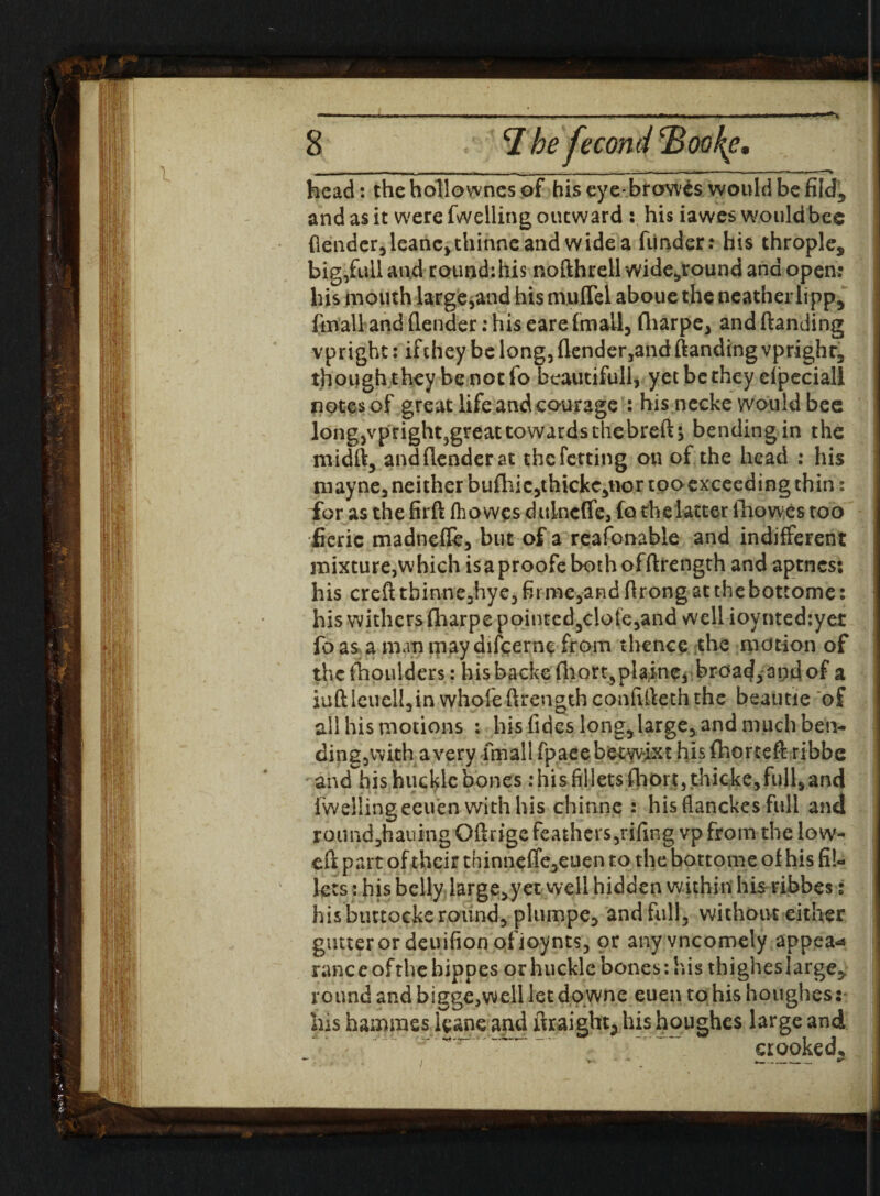 I head: the hollownes of his eye-br owes would be fild5 and as it were fuelling outward : his iawes would bee (lender,leancjthinne and wide a funder: his throple, big,full and round:his nofthrell wide,round and open: his mouth large,and his muflel aboue the neatherlipp3 ftnall and (lender; his eare (mall, fliarpe, and (landing vpright: ifthey be long, (lender,and (landing vprighr, though they be not fo beautiful!, yetbethey elpeciall notes of great life and courage : his necke would bee longjvprightjgreat towards thebreft 5 bending in the midft, andflender at thcfetting on of the head : his rnayne, neither bu£liic,thicke,nor tooexceeding thin: for as the firft ft owes dulncffe, fo the latter flumes too fieric madnefle, but of a reafonable and indifferent mixture,which is a proofe both of(Irength and aptncs: his creft tbinne,hye, firme,and flrong at the bottome: his withers fliarpe poinred3clote,and wellioyntediyer fo as a man maydiicerne from thence the motion of thcfhoulders: hisbackefliort,plaine, broadband of a iu(lleuell,in whole (Irength conliileth the beautie of all his motions : his Tides long, large, and much ben- ding,with a very fin ail (pace betwixt his fhorteft ribbe and his hucklc bones: his fillets fhort, thicke,full, and fwellingeeuen with his chinne : his flanckes full and round,hauing Oftrige feathers,rifing vp from the low¬ ed part of their thinneffe,euen to the bottome of his fil¬ lets : his belly large,yet well hidden within his ribbes s his buttocks round, plumpe, and full, without either gutter or deuifion ofioynts, or anyvneomely appear ranc e of the bippes or huckle bones: his thighes large* roundandbigge,wellletdowne euen tohishoughes: Ills hainmes ieane and ilraight3 his houghes large and crooked*