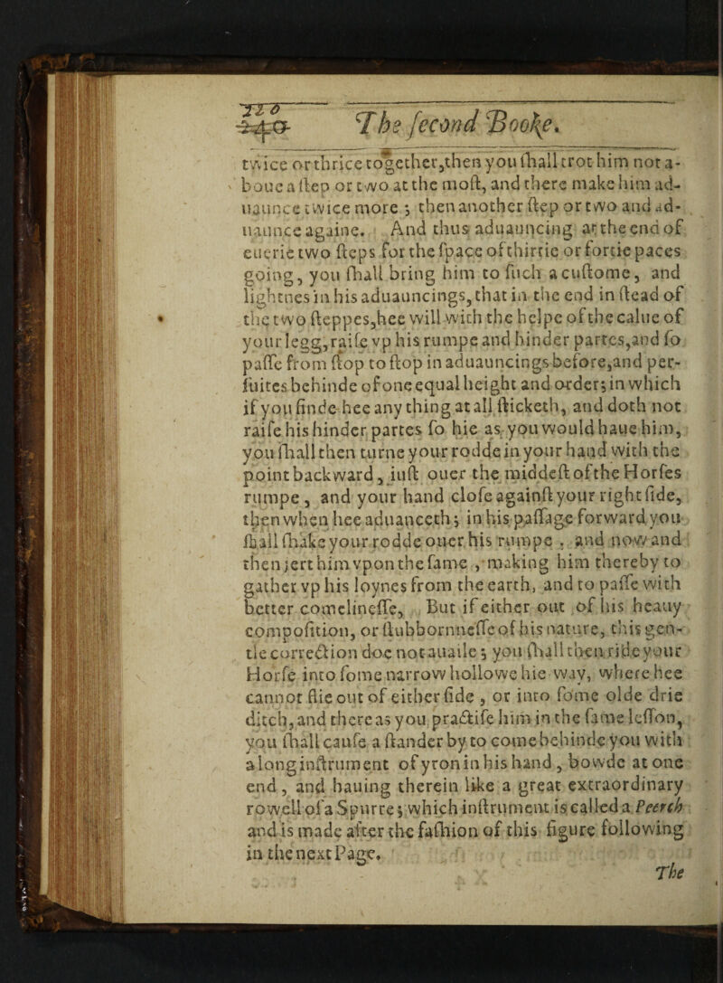 7be feamd 'Boo\e. twice or thrice cogether5then you (hall trot him not a- bone a ffcep or two at the moft, and there make him ad- u^unce twice more ; thenanotherfteportwoandad- uannceagaine. And thus aduauncing ar the end of euerietwo ftcps for the fpaceofthirtie or fortie paces going , you fhall bring him to fuch acuftome, and lightnesimhisaduaimcings,thatin the end in dead of the; two fteppeSjhee will with the helpe of the calue of your Iegg,raife vp his rumpe and hinder partes,and (o pafle from (fop to flop in aduauncings beforehand per- ftiites behinde of one equal height and order; in which if you finde-hce any thing at ali fticketh, and doth not raife his hinder partes fo hie as you would haue him, you fhall then turne your roddein your hand with the point back ward 5 iuft ouer the middeftoftheHorfes rumpe, and your hand clofeagainftyourrightfide, then when hee aduanceth; in his paffage forward you fbali fhakeyour rodde oner his rumpe . and now and then jert him vpon the fame , making him thereby to gather vp his loynes (rom the earth, and to paffe with better comelineffe, But if either out of his heauy compofition, or llubbornnefleof his nature, this gen¬ tle correction doc notauaile; you (Ball then ride your Horfe into fome narrow hollowe hie wav, where hee <# cannot (lie out of either fide , or into fo'me olde drie ditch* and there as you pra&ife him in the fame leflon, you fhall caufe a ftander by to come behinde you with along inftrument ofyroninhishand, bowde atone end, and bailing therein like a great extraordinary rowell ofa Spnrre; which infirument is called a Peerch and is made after the faihion of this figure following in the next Page, The