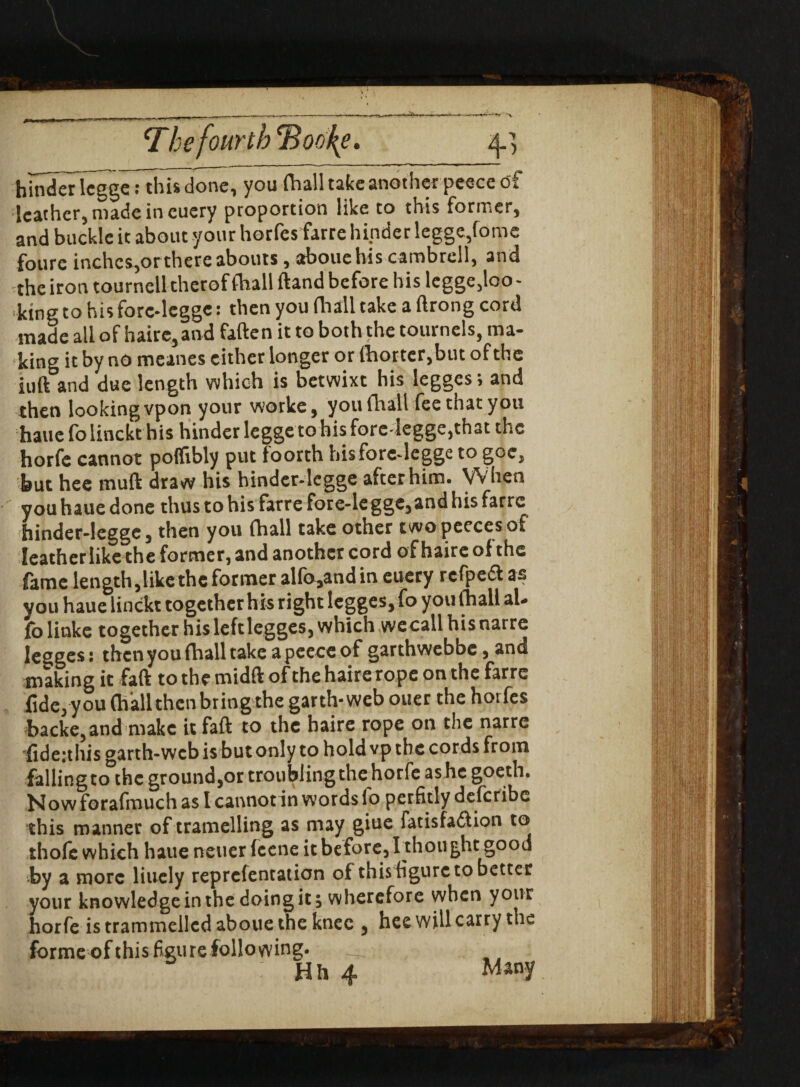 The fourth <Boo\e. ^ hinderlcgge: this done, you fhall take another peece of leather, made in eucry proportion like to this former, and buckle it about your horfes farre hinder legge,fome foure inches,or thereabouts, abouehis cambrell, and the iron tournell therof (ball Hand before his legge,loo- king to his forc-lcgge: then you (bail take a ftrong cord made all of haire,and fatten it to both the tournels, ma¬ king it by no meanes cither longer or (hotter,but of the iuft and due length which is betwixt his legges, and then lookingvpon your worke, you fhall fee that you haue fblinckt his hinder legge tohisfore legge,that the horfe cannot poflibly put foorth hisforc-legge to goe, but hee mutt draw his hinder-legge after him. When you haue done thus to his farre fore-le gge,and his farre hinder-legge, then you (hall take other twopeecesof leather like the former, and another cord of haire of the fame length,like the former alfo,andin euery refpeft as you haue linckt together his right legges, fo you (hall aU fo linke together his left legges, which we call his narre legges: then you fhall take a peece of garthwebbe, and making it faft to the midftofthe haire rope on the farre fide,you (hallthen bring the garth-web ouer the horfes backe,and make it faft to the haire rope on the narre dide:this garth-web is but only to hold vp the cords from falling to the ground,or troubling the horfe as he goeth. Now forafmuch as I cannot in words (o perfitly delcribe this manner of tramelling as may giue fatisfadiion to thofc which haue netier (ccne it before,I thought good •by a more liuely reprefentation of this figure to better your knowledge in the doing it; wherefore when your horfe is trammelled aboue the knee , hee will carry the formeofthisfigurefollowing. __ : Hh 4 Many