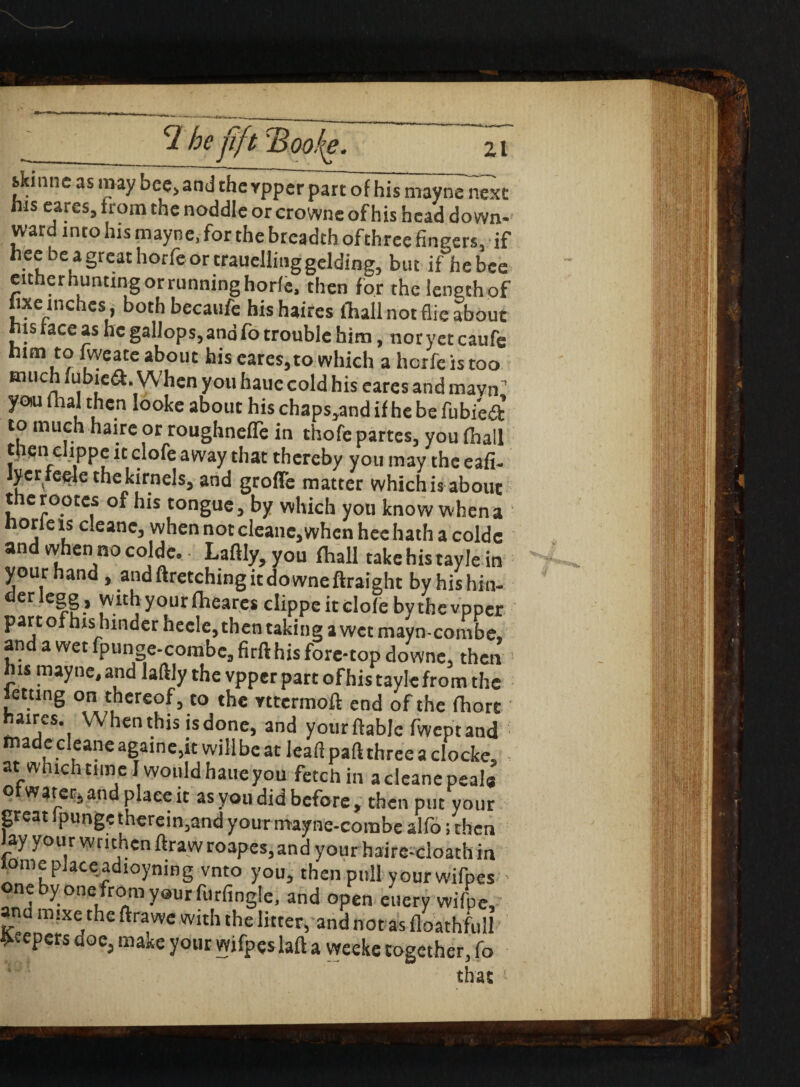 __21 5*11111 c as may bee, and the vpper part of his maynenext his eares, from the noddle or crowne of his head down¬ ward into his mayne, for the breadth of three fingers, if hee be a great horfc or trauelling gelding, but if hebee either hunting or running horie, then for the ienethof fixe inches , both becaufe hishaires fhail not fiie about his face as he gallops, and fo trouble him, nor yet caufe him to fvveate about his cares,to which a horfeistoo much fubicd. When you hauccold his eares and mavn1 you lhal then looke about his chaps,and if he be fubied to much haire or roughneffe in thofe partes, you fnall theni elippe it clofe away that thereby you may the eafi- yer teefe the kirnels, and groffe matter which is about t erootes of his tongue, by which you know when a horie is cleanc, when not cleane, when hee hath a colde and when no colde. Laftly, you (hall take his tay le in your hand , andftretchingitdowneftraight by hishin- derlegg , with your fheares clippe it dole by the vpper part ofhis hinder hecle, then taking a wet mayn-combe, and a wet fpunge-combe,firft his fore-top downe, then his mayne, and laftly the vpper part ofhis tayle from the letting on thereof, to the nrermoft end of the fhore haires. W hen this is done, and your ftabje fwept and : made cleane agame,it will be at lead pad three a elocke, at which time I would haueyou fetch in acieane peals of water, and place it as you did before, then put your great Ipunge therein,and your mayne-combe alfo; then Jay your wmhen ftraw roapes, and your haire-cloath in lomepiaceadioyning vnto you, then pull yourwifpes * ne by one from your ftirfingle, and open euery wifpe, o mixe the ftrawe with the litter, and not as floathfull lepers doe, make your yvifpeslaft a weeke together, fo that '