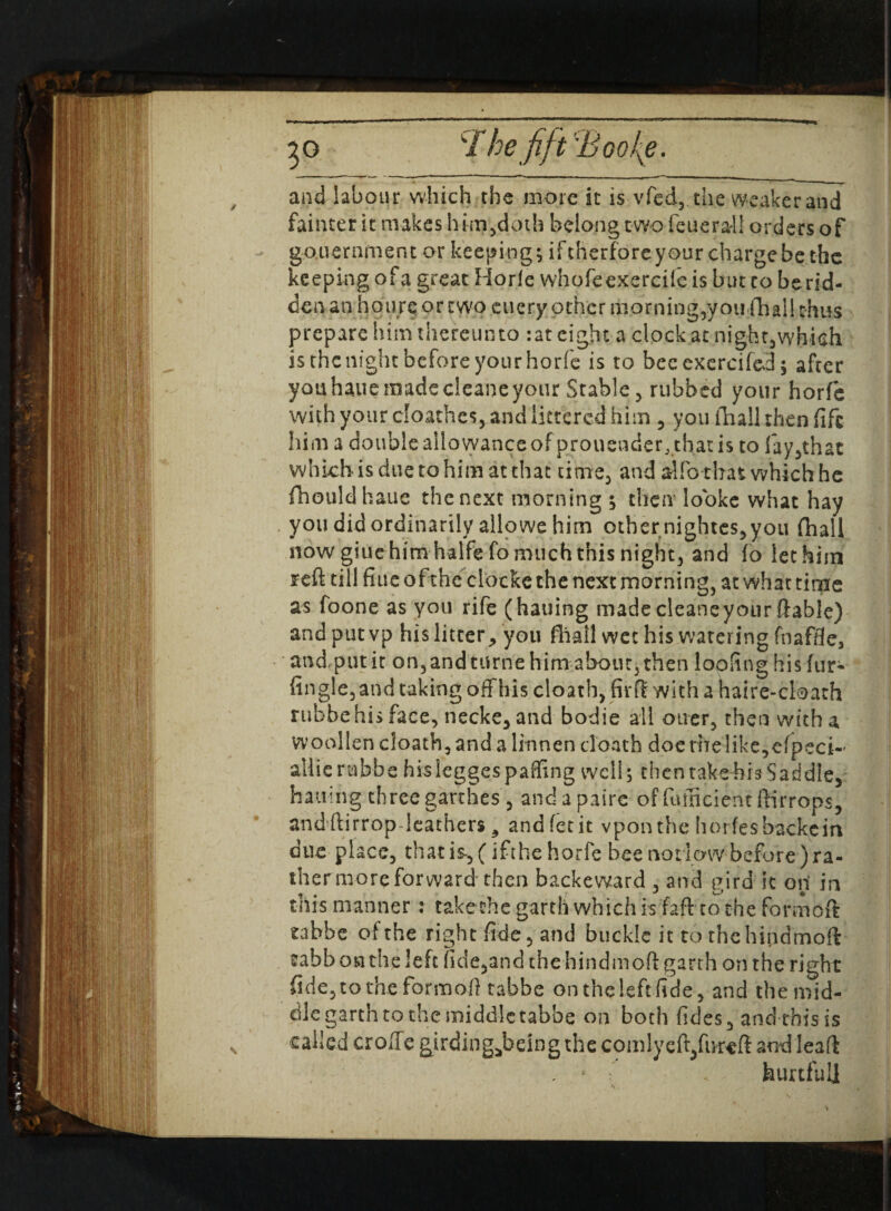 clhefiff'B oo{e. 3g and labour which the more it is vfed, the weaker and fainter it makes him,doth belong two feueral! orders of gouernment or keeping; iftherforeyour charge be the keeping of a great Horle whofeexercife is but to be rid¬ den an hours or two euery other morning,you fhall thus prepare him thereunto :at eight a clock at night,which is the night before your horfe is to bee exercifed; after youhaue madecleaneyour Stable, rubbed your horfe with your doathes, and littered him , you ihall then fife him a double allowance of prouender, that is to fay,that which is due to him at that time, and alfo that which he fhouldhaue the next morning ; then lo'oke what hay you did ordinarily alio we him other nightes, you fhall now giue him halfefo much this night, and fo lee him reft till fine oftheclocke the next morning, at what time as foone as you rife (hauing made cleans your ftable) and put vp his litter, you fhall wet his watering fnaffle, and. put it on, and timie him about, then loofing his fur- Angle, and taking off his cloath, fir ft with a haire-cloath rubbe his face, necke, and bodie all oner, then with a W’oollen cloath, and a linnen doath doe rhe like,efpeci-' allierubbe hisleggespaffing well; thentakehisSaddle, hauing three garthes , and a pairc of fumcient ftirrops, andftirrop leathers 3 and fecit vpon the horfesbackcin due place, thatis-, (ifthe horfe bee not low before ) ra¬ ther more forward then backeward , and uird it on' in thismanner: take the garth which is faft to the formbft tabbe of the right fide, and buckle it to thehindmoft sabbontheleft fide,and thehindmoft garth on the right fide, to the formoft tabbe on the left fide, and the mid¬ dle garth to the middle tabbe on both fides, and this is called croffe girding^beingthecomlyeft/ureft arrdleaft hurtful]