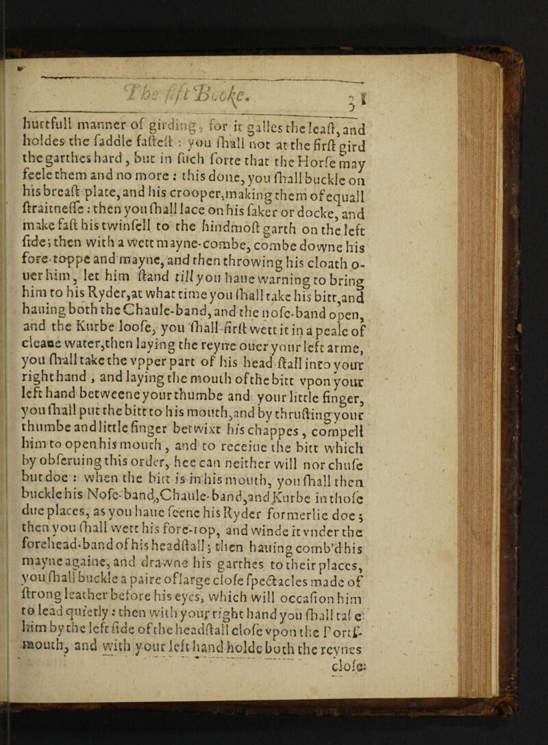 hurtful! manner of girding, for it gal!estheleaft,and hoides the fadale faded : you fhall not at the fir ft gird the garthes hard, but in fitch forte that theHorfemay feele them and no more: this done, you (Trail buckle on hisbreaft plate, and his crooper,making them of equal! ftraicnetfe: then you fhall lace on his faker or docke, and make faft his cwinfcll to the hindmoftgarth on the left fide; then with a wett nuyne-combe, combe downe his foretoppe and maync, and then throwing his cloath o- uer him, let him ftand till you hatie warning to bring him to his Ryder,at what time you (hall take his bitt,and hatting both the Chaulc-band, and the n ofo-band onen, and the Kurbe loofe, yon (Tall firftwettitinapealeof clcaos water, then laying the reyne ouer your left arme, you fhah take the vpper part of his head-ftall inro votnr right hand , and laying the mouth ofthebitt vpon your left hand betweene your thumbe and yourlitrle finger, y on fhall put the bitt to his mouth,nnd by thtufting your thumbe and little finger betwixt his chappes, compel! him to open his mouth , and to receitie the bitt which by obferuing this order, hee can neither will norchufc but doe : when the bitt is in his mouth, you fhall then buckle his Nofe-band,,Chaule-band,and Kurbe inthofe diie places, as you liaue feene his Ryder formerliedoc; tnen yon fhall wett his torc-iop, and winde it vndcr the forehead.band of his hcadfta!!; then hailing comb’d his mayncagaine, and drawne his garthes to theirplaccs, you fhah buckle a paire ofiarge clofe fpeef acles made of ftrong leather before his eyes, which will occafionhim to lead quietly .• then with your right hand you (Tull talc- him by che left fide of the headftall clofe vpon the forti- raouthj and with your left hand holdc both the reynes