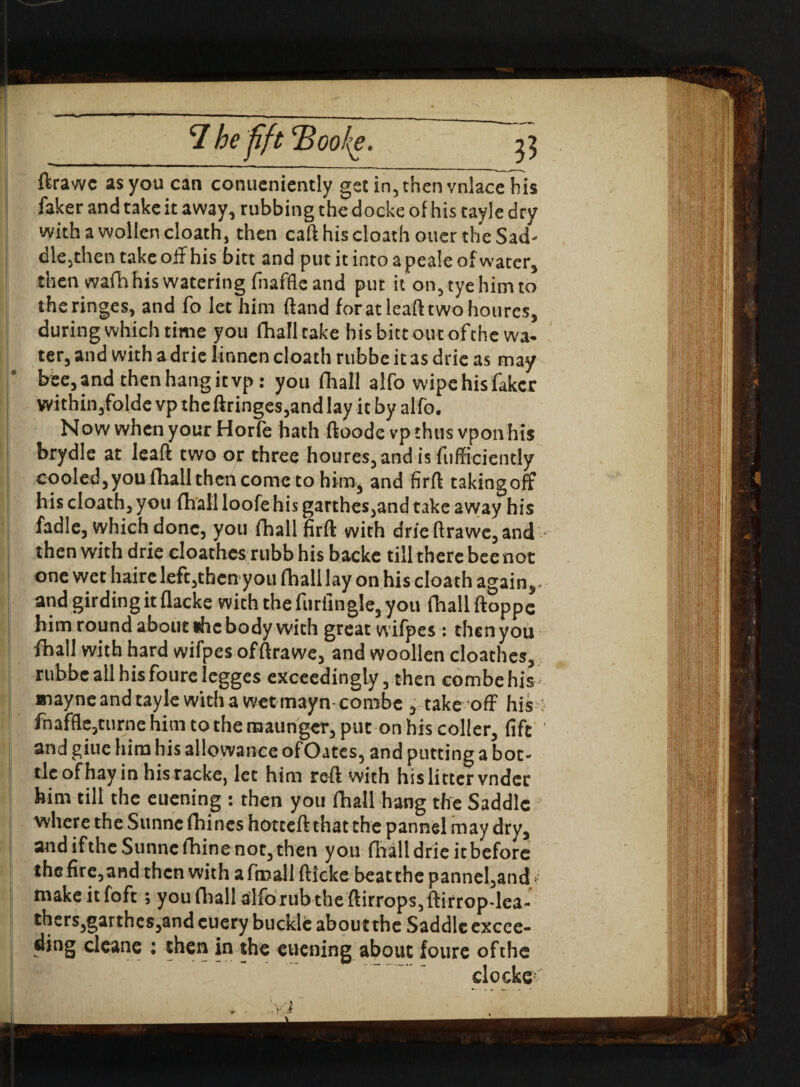 rr *7 he ftft 'Boothe. ' V> ftrawc as you can conueniently get in, then vnlace his faker and take it away, rubbing the docke of his tayle dry with a wollen cloath, then caft his doathouer the Sad¬ dle,then take off his bitt and put it into a peale of water, then wafh his watering fiiaffle and put it on, tye him to theringes, and fo let him ftand foratleafttwohoures, during which time you fhall take his bitt out ofthewa- ter, and with a drie linncn cloath rubbe it as drie as may bee,and then hangitvp: you fhall alfo wipe his faker within,folde vp the (fringes,and lay it by alfo. How when your Horfe hath ftoodevp thus vpon his brydle at leaft two or three houres,andisfufficiently cooled,youfhall then come to him, and firft takingoff his cloath, you fhall loofe his garthes,and take away his fadle, which done, you fhall firft with drie ftrawe, and then with drie cloathcs rubb his backe till there bee not one wet haire left,then you fhall lay on his cloath again,- and girding it flacke with the furfingle, you fhall ftoppc him round about the body with great wifpes: then you fhall with hard wifpes offtrawe, and woollen cloathes, rubbe all his foureiegges exceedingly, then combe his xnayne and tayle with a wet mayn-combe , take off his ■ fnaffle,turnehim tothemaunger, put on his coller, fift and giue him his allowance ofOates, and putting a bot¬ tle of hay in his racke, let him reft with his litter vnder him till the euening : then you fhall hang the Saddle where the Sunne (hines hotteft that the pannel may dry, and iftheSunnclhine not, then you fhall drie it before the fire,and then with a froall ftieke beatthe pannel,and. make it foft; youfhal!alforubtheftirrops,ftirrop-lea- thers,garthes,and cuery buckle about the Saddle excec- ding cleane : then in the euening about foure of the clocks