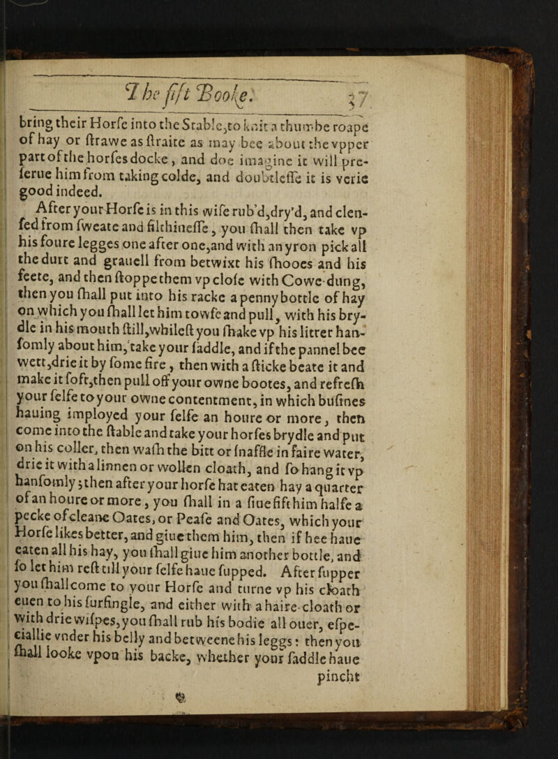 ‘7 he fift Boole: \ bring their Horfe into theScab!c,to knit a churrbe roape of hay or ftrawe as ftraite as may bee about the vpper partofthe horfesdocke > and doe imagine it will pro (erue him from caking colde, and doubtlefte it is vcrie good indeed. After yourHorfc is in this wife rub’d^dry’d, and clen- fed from fweate ana filchinefTe, you fhall then take vp his foure lcgges one after one,and with an yron pick all thedutt and grauell from betwixt his fhooes and his feete3 and then ftoppetbem vpclofe withCowedung, then you fhall put into his racke apennybotdc of hay on which you fhall let him towfeand pull3 with his bry- dle in his mouth ftil!,wbilcft you Pnake vp his litrer han- fomly about him, take your (addle, and if the panne! bee wett,drie it by fome fire, then with a fticke beate it and make it foft,then pull off your owne bootes, and refrefh your felfe toy our owne contentment, in which bufines hauing imployed your felfe an houreor more, then come into the ftable and take your horfes brydle and put ©n his coller, then W'afh the bitt or (naffle infaire water, drieit withalinncn or wollcn cloath, and fohangkvp hanfomly ,then after your horfe hat eaten hay a quarter ofan houreor more, you fhall in a fiuefifehim halfe a pecKC ofeleane Oates, or Peafe and Oates, which your Horfe likes better, and giuc them him, then if hee haue eaten all his hay, you fhall giuc him another bottle, and fo let him reft till your felfe haue fupped. After fupper youfhallcome to your Horfe and turne vp his cloath euen to hisfurfingle, and cither with ahaire cloath or withi drie wifpes,you fhall rub hisbodie all ouer, efpe- d-allie vnder his belly and betvycenehis leggs t then you fhall looke vpon his backe, whether your faddlehauc pinch* «'' > %