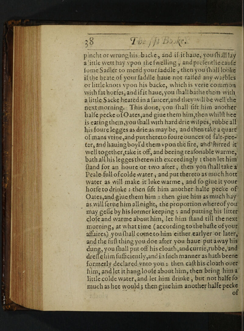 pincht or wrunghis:backe3 and it Tthaue, you {hill lay a.’ittle wetr hay vpon the ( welling 5 andprefentliecaufc lome Sadler to mend your (addle , then you fhall lookc if the he ate of your (addle haue not railed any warbles or little knots vpon his backe, which is verie common with fat horfss, and ifit haue,you fhall bathe them with a little Sacke heated in a faucer.and they wdl be well the ~ 0 next morning. This done, you (hall fife him another halfe pecke of Oates,and giue them him,then whilft hee is eating them,you (hall with hard drie wilpes, rubbe all his foure kgges as drie as may be, and then take a quart of mans vrine,and put thereto foure ounces ot falt-pee- ter, and liauingboyl’d them vpon the fire, ahd'ftirred it well together,take it off, and beeing reafonable warme, bath.aU his legges therewith exceedingly : then let him (land for an hourcor two alter, then you fhall take a Peale-full ofcolde water, and put thereto as much hott water as will make it luke warme, and fo giue it your horfetodrinke : then fife him another halfe pecke of Oates,and giue them him : then giue him as much hay as will ferue him all night, the proportion whereof you may gefie by his former keeping *, and putting his litter clofeand warme about him, let him (land till the next morning, at what time (accordingtothehaftcofyour affaires,) you fhaU come to him either earlyer or later, and the firft thing you doc after you haue putawayhis dung, you fhall put off his cloath,and currie,rubbe, and drefie him fufficiently,and in fuch manner as hath beenc formerly declared vntoyou : then caft his cloath oner him, and let it hang looie about him, then bring him a little colde water, and lec him drinke, but not halfe fo much as hee would % then giue him another halfe pecke