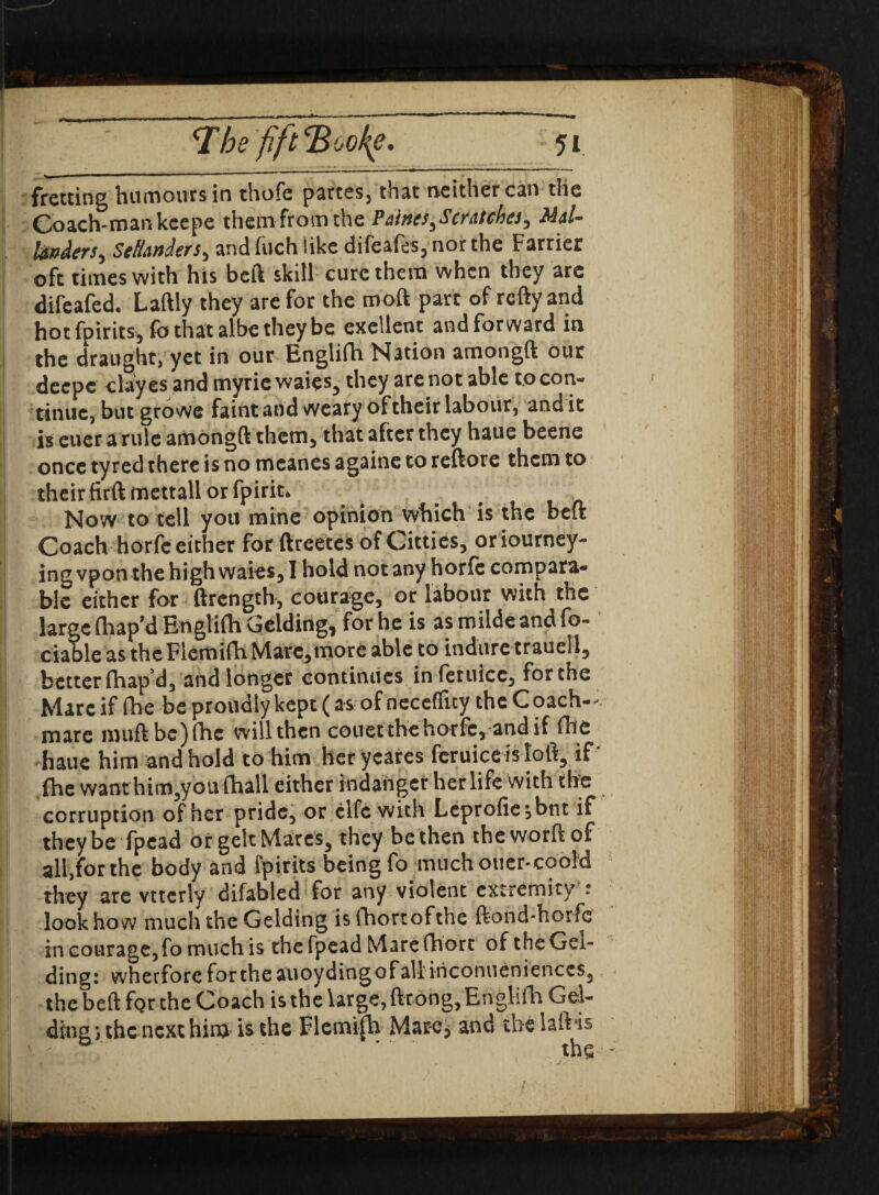 fretting humours in thofe partes, that neither can the Coach-man kcepe themfromthe Paines ^Scratches, Mai- landers, Sellanders, and fuch like difeafes, nor the Farrier oft times with his beft skill cure them when they are difcafed. Laftly they are for the moft part of rcfty and hot fpirits, fo that albe they be exellent and forward in the draught, yet in our Englifh Nation amongft our deepe clayes and myrie waies, they are not able to con¬ tinue, but growe faint and weary oftheir labour, and it is euer a rule amongft them, that after they haue beene once tyred there is no meanes againc to reftore them to their firft mettall or fpirit. Now to tell you mine opinion which is the beft Coach horfc either forftreetes ofCitties, or Journey¬ ing vpon the high waies, I hold not any horfc compara¬ ble either for ftrcngth, courage, or labour with the large (hap’d Englifh Gelding, for he is asmildeandfo- ciable as the Flemifh Mare,more able to indure trauell, better fhap’d, and longer continues infetuicc, for the Marc if (he be proudly kept (as of neceffity the Coach— mare muftbc)fhc will then couet the horfc, and if (he haue him and hold to him her yeares fcruice is loft, if ,fhe want him,you fhall either indanger her life with the corruption of her pride, or clfc with Leprofiejbnt if they be fpead or gelt Marcs, they be then theworftof all.forthc body and Spirits being fo muchouer-coold they are vtterly difabled for any violent extremity : look how much the Gelding is fhortofthe ftond-horfc in courage, fo much is the fpead Mare Chore of the Gel¬ ding: wherfote for the auoy dingo faltinconuenienccs, the beft fQr the Coach is the large, ftrong, Englifh Gel¬ ding; the next him is the Flemifh Marc, and the laft is