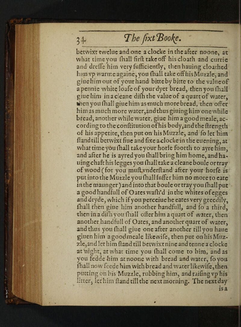 K betwixt twelue and one aclocke in the after noone, at what timeyou fhall firft takeoff hiscloath and currie and drefle him very fufficiently, then hailing cloathed him vp warrncagaine,you fhall take off his Muzzle, and giue him out of your hand bitteby bitte to the value of a pennie white loafc of your dyet bread, then you fhall giue him inacleane difh the value of a quart of water, then you fhall giue him as much more bread, then offer him as much more water,and thus giuing him one while bread, another while water, giue him a good meale, ac¬ cording to the conftitution of his body,and the ftrength of his appetite, then put on his Muzzle, ana fo let him Hand till betwixt fiuc and fixe aclocke in the euening, at what time you fhall take your horfe foorth to ayrehim, and after he is ayred you fhall bring him home, and ha¬ iling chaft his iegges you fhall take a cleane boule or tray of wood (for you mufLvnderftand after your horfe is put into the Muzzle you fhall fnffer him no more to catc in the maunger) and into that boule or tray you fhall put a goodhandfuil of Oates wafh’d in the whites ofegges and dryde, which if you perceiue he eates very greedily, fhall then giue him another handfull, and fo a third, then in a difh you fhall offer him a quart of water, then another handfull of Oates, and another quart of water, and thus you fhall giue one after another till you haue giuenhim agoodmeale likcwife, then put onhisMuz- zle,and let him (land till betwixt nine and tenne a clocke at flight, at what time you fhall come to him, and as you fedde him atnoone with bread and water, fo you fhall now feede him with bread and water like wife, then putting on his Muzzle, rubbing him, and railing vp his litter^ let him Hand till the next morning. The next day is a s