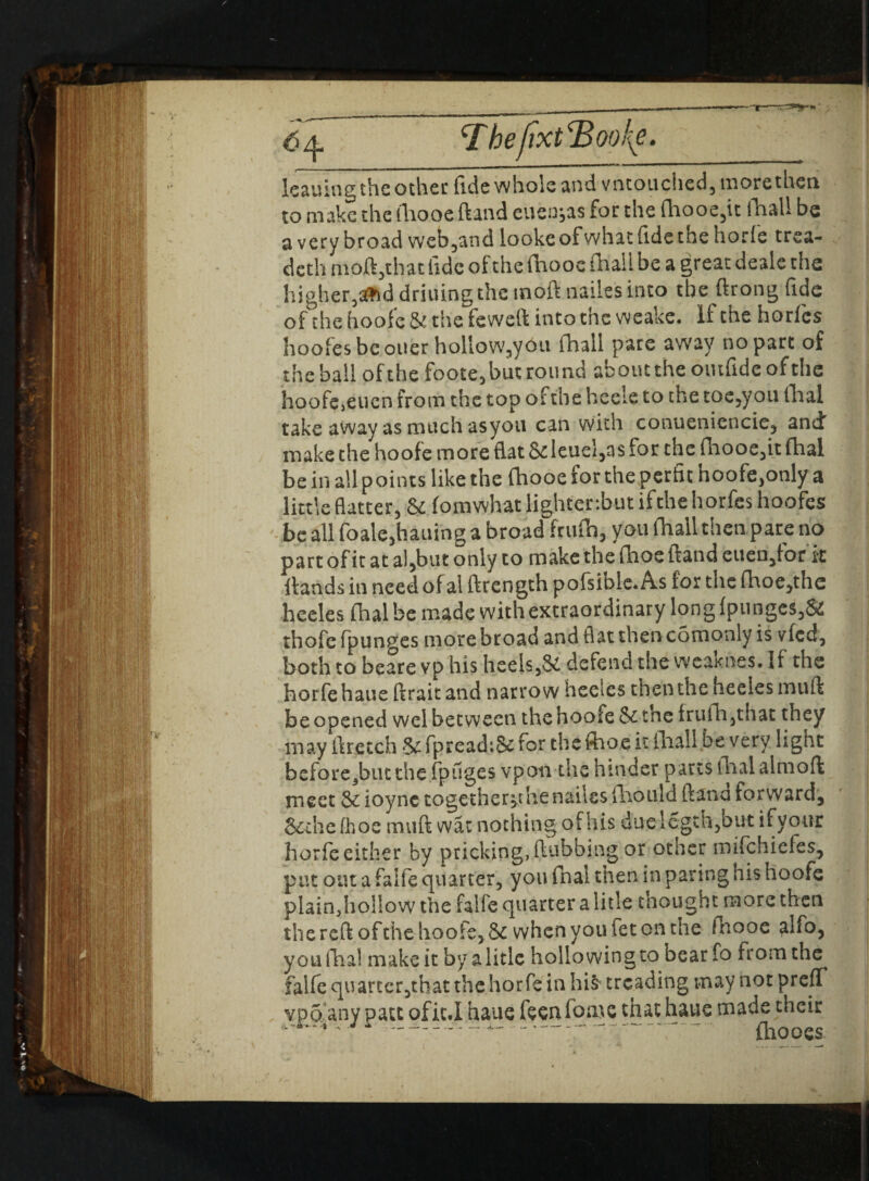 <Tbeftxt<Bo oi{e. kauing the other fide whole and vntouched, morethea to make the fhooe ftand euenjas for the fhooe,it fhall be a very broad web,and looke of what (ide thehorle trea- deth moft,that fide of the fhooe fhall be a great dealc the higher,effid drilling the moft nailes into the ftrong fide of the hoofe St the feweft into the w-cake. It the horfes hoofes be oner hollow3you fhall pare away no part of the ball of the foote, but round about the omfide of the hoofe,euen from the top ofthe heele to the toe,yon fhal take away as much asyou can with conueniencie, andr make the hoofe more flat & leuel,as for the fhooe,it dial be in all points like the fhooe for the perfit hoofe,only a little flatter, Sc fomwhatlighter:butifthehorfes hoofes be all foale,hailing a broad frufh, you fhall then pare no part of it at a),but only to make the fhoe ftand cuen/or it ftands in need of al ftrength pofsible. As for the (hoe,the heeles fhal be made with extraordinary long fpunges,& thofcfpunges more broad and flat then comonly is vfed, both to bearevp his heels,& defend the weaknes. If the horfehaue ftrait and narrow heeles then the heeles muft be opened wel between the hoofe Sc tne frufh,that they may ftretch Sc fpread:& for the fhoe it lhall.be very light before Jmc the fpuges vpon the hinder parts flialalmoft meet Sc ioync toge-ther>thenailes fliould ftand forward, &thc fhoe muft war nothing of his due legth,but ifvour horfe either by pricking, flubbing or other mifehiefes, put out a faife quarter, you fnal then in paring his hoofe plainJioHow the faife quarter a li tie thought more then the reft ofthe hoofe,.& when you fet on the fhooe ^Ifo, you fhal make it byalitle hollowing to bearfo from the^ faife quarter,that the horfe in his treading may not prefl vpo any patt ofit.I haue feerifome thathaue made their