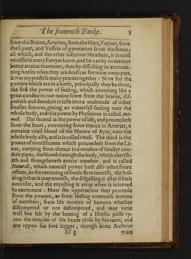 — Ir Ml IIP ■< • »■—r> - ■■ ■ ' ' ■—'Mil. I—~ ■ --- - — J.__ from the Braine, Arteries, from the Hart,Vcynes, front theLyuer, and Veifels of generation from theftones; all which, and the other inferiour Members, it is moft neceffarie euery Farryer kno w5and he can by no meanes better attains thereunto, then by differing or anotomi- xinghorfes when they aredeadsas forminc ownepart, it was my pra&ife many yeares together : Now for the powers which are in a horfe3 principally they be three, the firft the power of feeling, which comming like a great cundke in one mainefinew from the brainc3 dif- perfeth anddeuidethitfelfcintoa multitude of other fmaller finewes,giuing an vniuerfall feeling ouer the whole body 3 and this power by Phyficions is called Am- mdL The fecond is the power of life, and proccedech from the heart 3 conucying from thence in Arteries, a cercaine vitall blood of the Nature of Ayre3 ouer the kwhole body alfo, and it is called VitdL The third is the power of nourifhment which proceedcth from the Lt- Uer3 carrying from thence in a number of fmaller cun- duit pipes, the blood through the body3 which cherifh- cth and ftrengtheneth euerie member, and is called Naturally which naturall power hath alfo otherfoure offices, as the receiuing offoode fit to nourifh, the hol¬ ding it that it may nourifh, thedifgeftingit after it hath nourifht, and the expelling it away when it is turned excrement : Now for opperations they proceedc fro m the powers 3 as‘ from feeling commeth motion of members, from life motion of humors whether diftempered or not diftempered, and may verie Well bee felt by the beating of a Horfes pulfe vp- j»On the temples of his hcade clofe by hiseares, and sot vppon his fore legges, though fome Authors Sf z write - T *->-  I