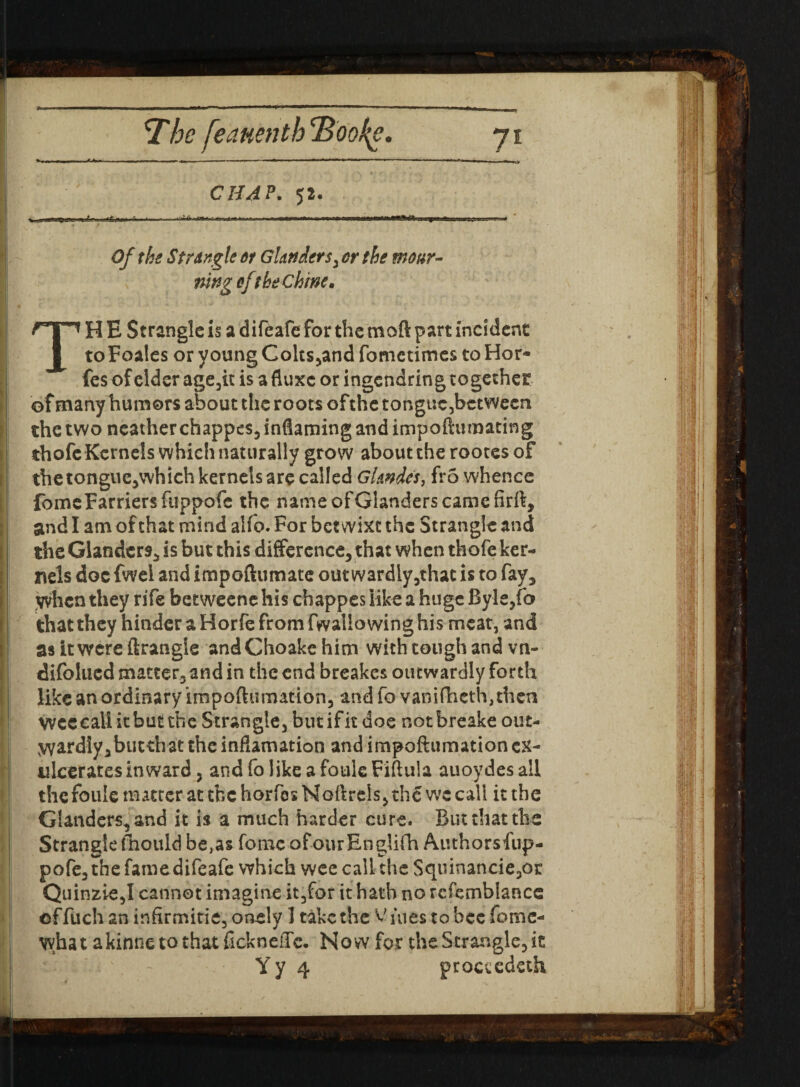 CHAP. 52. Of the StrAngle or Glanders > or the mour¬ ning eft be chine, TH E Strangle is a difeafe for the moft part incident to Foales or young Colts^and fometimes to Hor- fes of elder age3it is a fluxe or ingendring together of many humors about the roots ofthe tonguc3bctwecn the two neather chappes3 inflaming and impoftumating thofe Kernels which naturally grow about the rootes of the tongue,which kernels are called Ghndcs, fro whence fome Farriers fiippofc the name of Glanders came firft, and I am of that mind aifo. For betwixt the Strangle and the Glanders, is but this difference, that when thofe ker¬ nels doc fwel and impoftumate out wardly,that is to fay, yvhen they rife betweene his ebappes like a huge Byle,fo that they hinder a Horfe from fwallo wing his meat, and asitwereftrangle andChoakehim with cough and vn- difolucd matter, and in the end breakes outwardly forth like an ordinary impoftumation, and fo vanifheth, then Wee call it but the Strangle, but if it doe notbreake out¬ wardly, butth at the inflamation and impoftumation cx- ulcerates inward, andfolikeafouleFiftula auoydes all the foule matter at the horfes Naftrels, th£ we call it the Glanders, and it is a much harder cure. But that the Strangle fnould be,as fomc ofourEnglifh Authorsfup- pofe, the fame difeafe which wee call the Squinancie3oi: Quinzie,I cannot imagine it,for it hath no rcfemblancc of fuch an infirmitie, onely 1 take the Vines to bee fome- vvhat akinne to that flekneffe. Now for the Strangle, it Yy 4 proetedeth