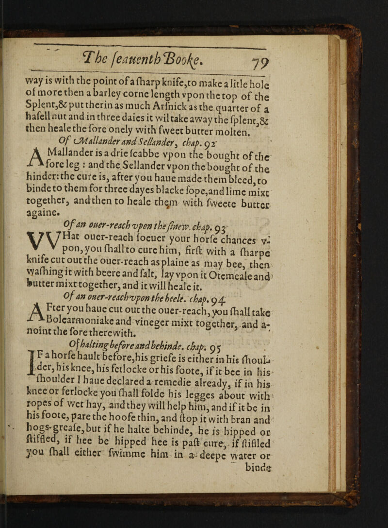 ‘The feauentb<Boof{e. A __ 19 way is with the point of a fharp knife,to make a litlehoTe of more then a barley come length vpon the top of the Splent,& put therin as much Arlnick as the quarter of a hafcll nut and in three daies it wil take away the fplenc Sc then hcale the fore onely with fweet butter molten. Of CMallanderand Se/landcr, chap, o 2' Mallander is a dric fcabbe vpon the bought of the foreleg : and the.Sellander vpon the bought of the hinder:the cure isj afteryouhaue made them bleed.to binde to them for three dayes blacke fope,and lime mixt together, and then to heale thqm with fweete butter againe. Of an ouer-reach vpon the fiitew. chap, o j- \7\7Hat oucr-reach foeuer your horfe chances v- . V Pon5y°i> fhallto cure him, firft with a fharpe knifecutouttheouer-rcachasplaineas may bee, then warning it with beere and fait, lay vpon it Otemeale and1 butter mixt together, and it will heale it. Of an ouer-reach vpon the heele. chap, a A. 2V Fteryou hauecut out the ouer-reach,you fhall take: M ^Bolcarmoniakeand vinegcrmixt together.,and a- noint the fore therewith. O) halting before andbehinde. chap. 95 F a horfe hault before,his griefe is either in his fhoul-. .der, ms knee, his fetlocke or his foote, if it bee in his- moulder I haue declared a remedie already, if in his knee or ferlocke you fhall folde his legges about with'- ropes of wet hay, and they will help him, and if it be in his foote, pare the hoofe thin, and flop it with bran and hp§s'§*^fe5but if he halte behindc3 he /s hipped or ftiffled3 if hee be hipped hee is pad curer if fliflled you fhall either fwimrne him in a decpc water or binde