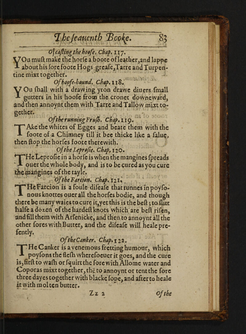 e. & *' Ofcdftng the ho fife. Chap. 117, YOu mu ft make the horfc a boote ofleathcr,and lappe abouthisfore foote Hogs grcafe,TarreandTurpen- tuiemixt together. Of h 00fe-hound. Chap. 118. YOu (hall with a drawing yron drawc diners final! gutters in his hoofe from the cronct downeward, and then annoynt them with Tarrc and Tallow mixt to- gcthcr. Of the running Frufft. Chap* 119. ^T^Ake the whites of Egges and bcate them with the A footeof a Chimney till it bee thickc like a falue* then flop the horfes footc therewith. OftkeLeprfife. Chap, 120. *TpHe Leprofie in a horfc is when the mangincs fpreads ‘ A oucr the whole body, and is to be cured as you cure themangines ofthetayle. OftheFare'm, Chap.iiu THeFarcion is a foule difeafe thatrunnesinpoyfb- nousknottcsouerall thehorfesbodie, and though there be many waies to cure it,yet this is the beft 5 to flitt halfeadoren ofthehardeftknots which are beft rifen, and fill them with Arfenicke, and then to annoynt all the other fores with Butter, and the difeafe will hcalcprc- fcntly. Of the Canker. Chap. 122. T'HeCanker is a venemous fretting humour, which poy fons the flefh wherefoeuer it goes, and the cure is5firft to wafti or fquirt the fore with Allomc water and Coporas mixt together, the to annoynt or tent the fore three dayes together with blacke fope>and after to heale it with molten butter. Zz 1 of the