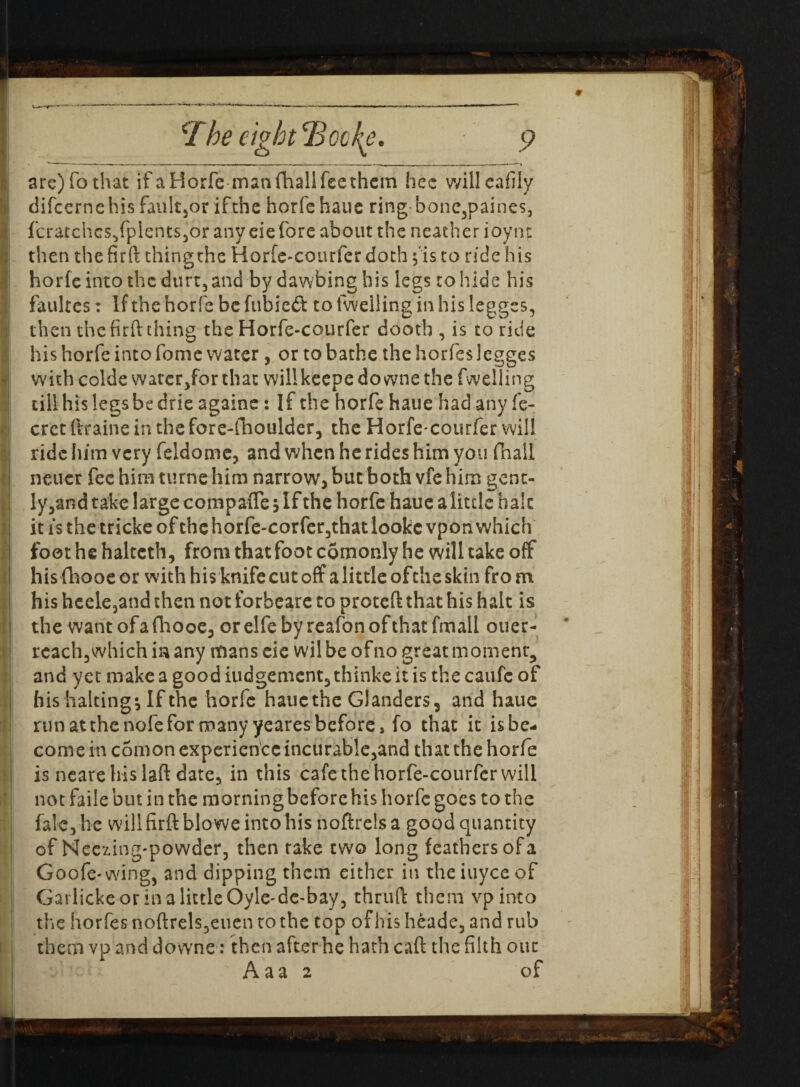 arc) To that if a Horfe man fhall fee them hec willcafily difeernehis fault3or ifthc horfe haue ring-bone3paines, fcratchcs^fpientSjOr any eie fore about the neather ioynr then the firft thingthe Horfe-courfer doth f is to ride his horfe into the durt, and by dawbinghis legs to hide his faultes: If the horfe be fubieft to fwelling in his legges, then the firft thing the Horfe-courfer dooth , is to ride his horfe into fome water , or to bathe the horfes legges with colde watcr/or that wilikeepe do wne the fwelling till his legs be drie againe: If the horfe haue had any fe- cret ftraine in the fore-fhoulder, the Horfe-courfer will ride him very feldome, and when he rides him you fhall neuer fee him turne him narrow, but both vfe him gent- Iy5and take large compafle \ If the horfe haue a little hale it is the tricke of the horfe-corfer,thatlooke vpon which foot he haltcth, from that foot comonly he will take off hisfhooeor with his knife cut off a little ofthe skin from his hcele3and then not forbeare to proteft that his halt is the want of a fhooe, or elfe by reafon of that fmall ouer- reach, which in any mans eie wil be of no great moment^ and yet make a good iudgement, thinke it is the caufe of his halting \ If the horfe haue the Glanders, and haue run at the nofe for many yeares before 5 fo that it isbe- come in c5mon experience incurable3and that the horfe is nearehislaft date, in this cafe the horfe-courfer will fale,he willfirftbloweintohisnoftrclsa goodquantity Goofe-wing, and dipping them either in the iuyee of Garlickeor inalittleOyle-de-bay3 thru ft them vpinto the horfes noftrels3euen to the top of his heade5 and rub them vp and downe: then after he hath caft the filth our