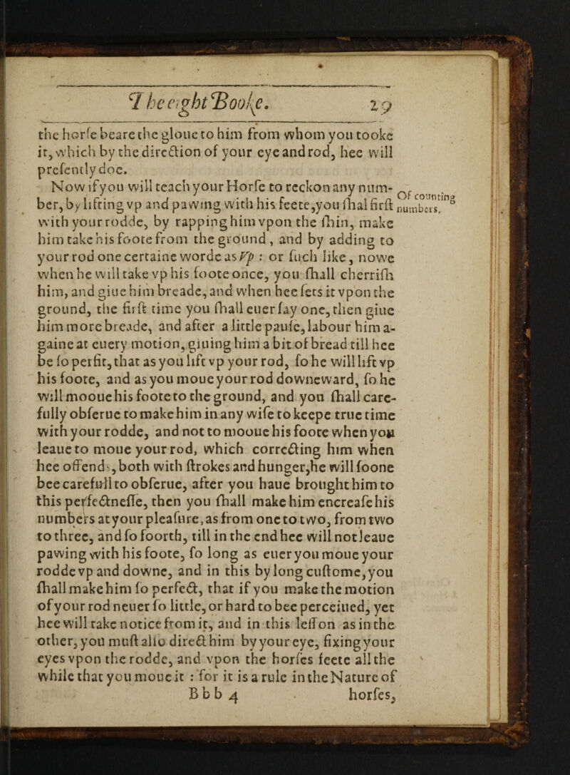 the horfe beare the gloue to him from whom you tookc it, which by the direction of your eye and rod, hee will prefcntlydoc. Now ifyou will teach your Horfe to reckon any num* f ber, by lifting vp and pawing with his feete,you fhal firft numbers!1”8 with yourrodde, by rappinghim vpon the fhin, make him take his foote from the ground, and by adding to your rod onecertaine wordeas/^ : or fuch like, nowe when he will take vp his foote once, you fhall cherrifh him, and giue him breade, and when hee fets it vpon the ground, the fir ft time you fhall euer fay one, then giue him more breade, and after a little panic, labour him a- gaine at euery motion, giuing him a bit of bread till hee be fo perfir, that as you life vp your rod, fo he will lift vp his foote, and as you moue your rod downeward, fohe will moouehis foote to the ground, and yon fhall care¬ fully obferue to make him in any wife to keepe true time with your rodde, and not to mooue his foote when you leaueto moue your rod, which correcting him when hee offend ,both with ftrokes and hunger,he will foone bee careful! to obferue, after you haue brought him to this peffeCLnefle, then you fhall make him encreafe his numbers at your pleafure, as from one to two, from two to three, andfofoorth, till in the end hee will not leaue pawing with his foote, fo long as euer you moue your rodde vp and downe, and in this by long cuftome,you fhall make him fo perfeCt, that if you make the motion of your rod neuer fo little, or hard to bee perceiued, yet hee will take notice from it, and in this leffon asinthe other, yon muftalio direCt him by your eye, fixingyour eyes vpon the rodde, and vpon the hones feete all the ' while that you moue it : for it is a rule in the Nature of Bbb^ horfes,