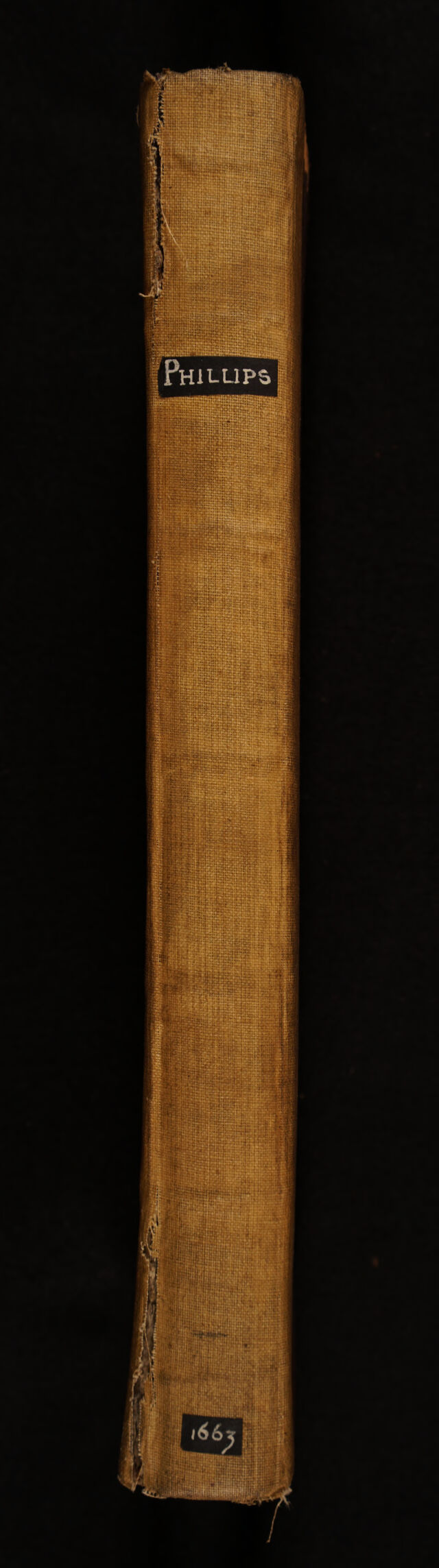 No text description is available for this image