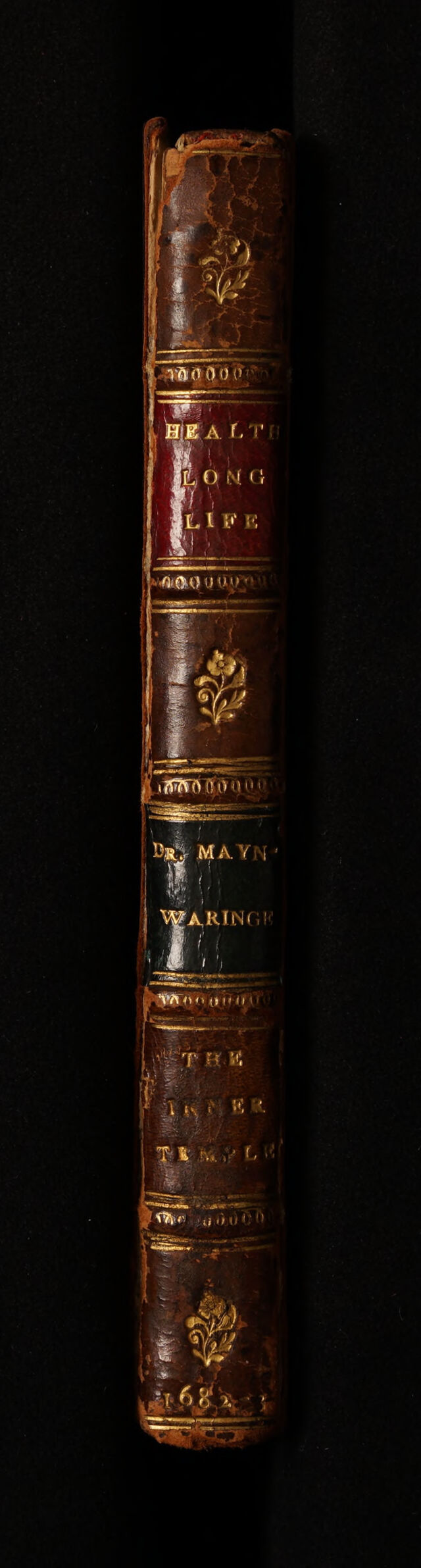 No text description is available for this image