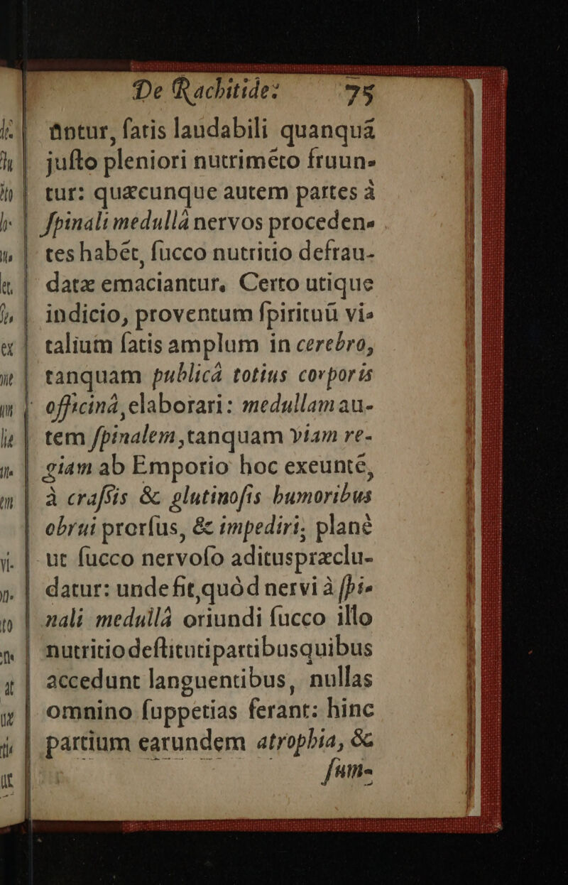 IRR HES BER UN NUHTHRER SHUEERRTERRRRR RAIN De fRachitide: 75 » m antur, fatis landabili quanquá . jufto pleniori nutrimero fruun- | tur: quecunque autem partes à : |. fpinali medulla nervos proceden tes habet, fucco nutritio defrau- datz emaciantur, Certo utique indicio, proventum fpirituü vi» talium fatis amplum in cereéro, tanquam publicá totius covporis - officina, elaborari: medullamau- tem fpinalem, tanquam Y/m re- e | à crafsís &amp;. glutinofts baahidus | sii proríus, &amp; impediri; plané - ut fucco nervoío adituspraclu- . | datur: undefit quód nervi à [bi» | nali medullá oriundi fucco illo | nutritiodeflitutipartibusquibus accedunt languentibus, nullas | omnino fuppetias ferühts hinc | partium earundem atrophia, &amp;c fume