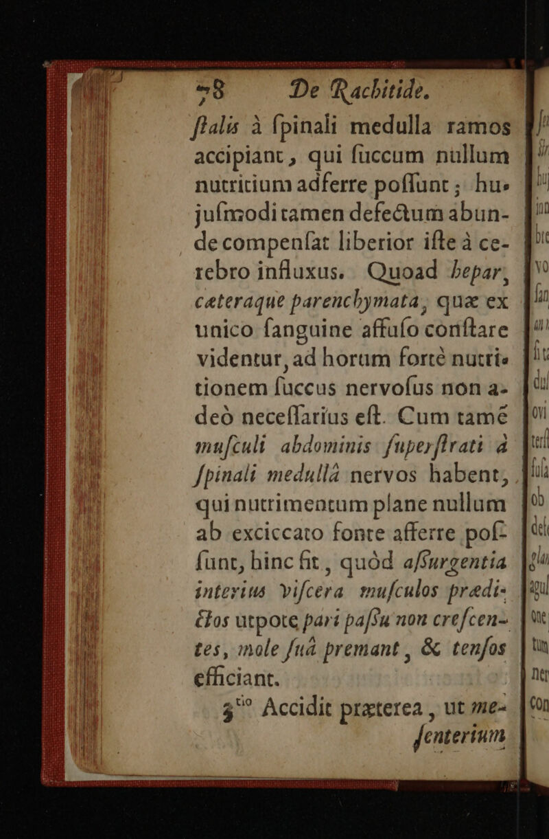 Iiricinnedis vi: De 'f acbitide. flalis à fpinali medulla ramos p/ accipiant, qui fuccum nullum [ nutritium adferre poffunt ; hu» [ juínzoditamen defe&amp;tum abun- [| de compenfat liberior ifteà ce- [' rebro influxus. Quoad epar, [V ceteraque parencbymata, qua ex. | unico fanguine affufo conftare ]/ videntur, ad horum forté nutti«. |*' tionem fuccus nervofus non a- | deó neceflarius eft. Cum tame mu[culi: abdominis: fuperflrati à fpinali medulláà nervos habent, ;| qui nutrimentum plane nullum | ab exciccato fonte afferre pof- funt, hinc ht , quód a/surgentia interitus. vifcera mufculos pradi- &amp;los utpote par: pa[Su non crefcen-. tes, inole fu&amp; premant , &amp; tenfos efficiant. $^ Accidit praterea , ut me-. | &amp; Jenterium e enl BEBIMDR ase a Asa oer o — e me SYWHIMS ' Coon GODS CIDUA SCC DEINOETRICSRIT IUUEGI TESTE TE TEEST TS NONSE SIT TEPIDEEEPI C TTTEITINIT V