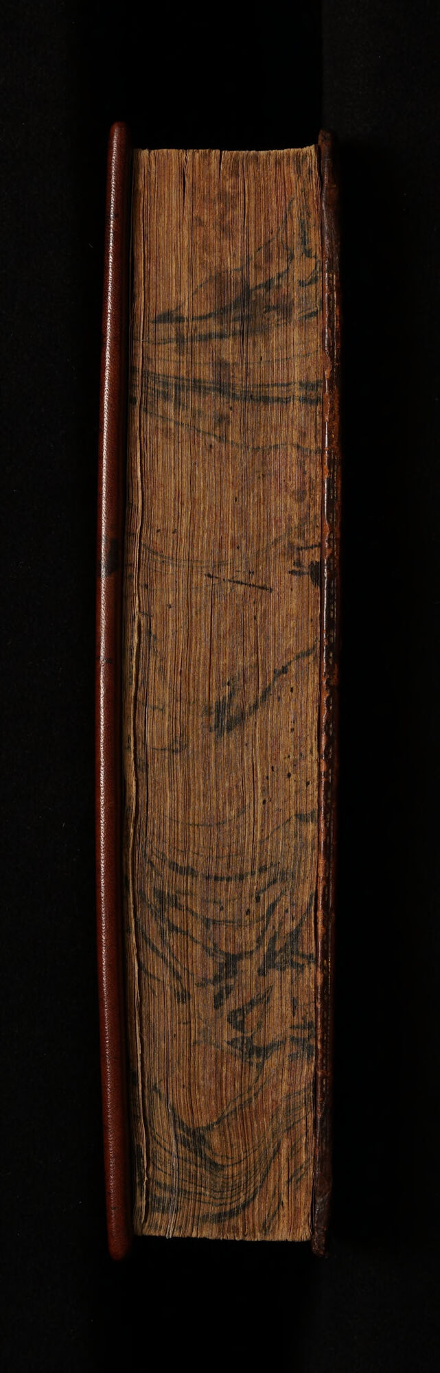 No text description is available for this image