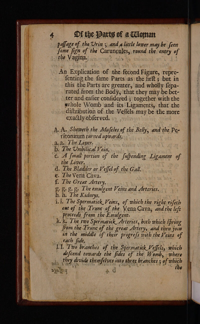 EELS OE TEES nn SN AERTS S SOTA RS LR REESE CETTE TIRE BERRA PESTS PORE ETERS SSR ENS HES fome fign of the Carunçules, round the entry of 4 fenting the fame Parts as the firft ; but in this the Parts are greater, and wholly fepa- ‘rated from the Body, ‘that they may be bet- ter and eafier confidered ; together with the whole Womb and its’ Ligaments, that the diftribution of the. Veflels may be the more exactly obferved. Wis : “ritoneum taraed upwards, | aa. The Liver. ;. : b. The Umbilical Vein. the Liver. d. The Bladder or Veffel of the Gall. e.eeVera Cava. “| f. The Great Artery. g.g.2.8. The emulgent Veins and Arteries. h. h. The Kidneys. Bh te its | il. The Spermatick Veins, of which the right rifeth ont of the Truc of the. VenaCava, and the left proceeds fram the Emulgent. | à KK. The two Spermatick Arteries, both which Spring from the Trunc of the great Artery, and then join sn the middle of their progrefs with the Veins of SPY ON RP Ve es a ae oe LT Two branches of the Spermatick Veffels, which | defcend towards the fides of the Womb, : where | the 4