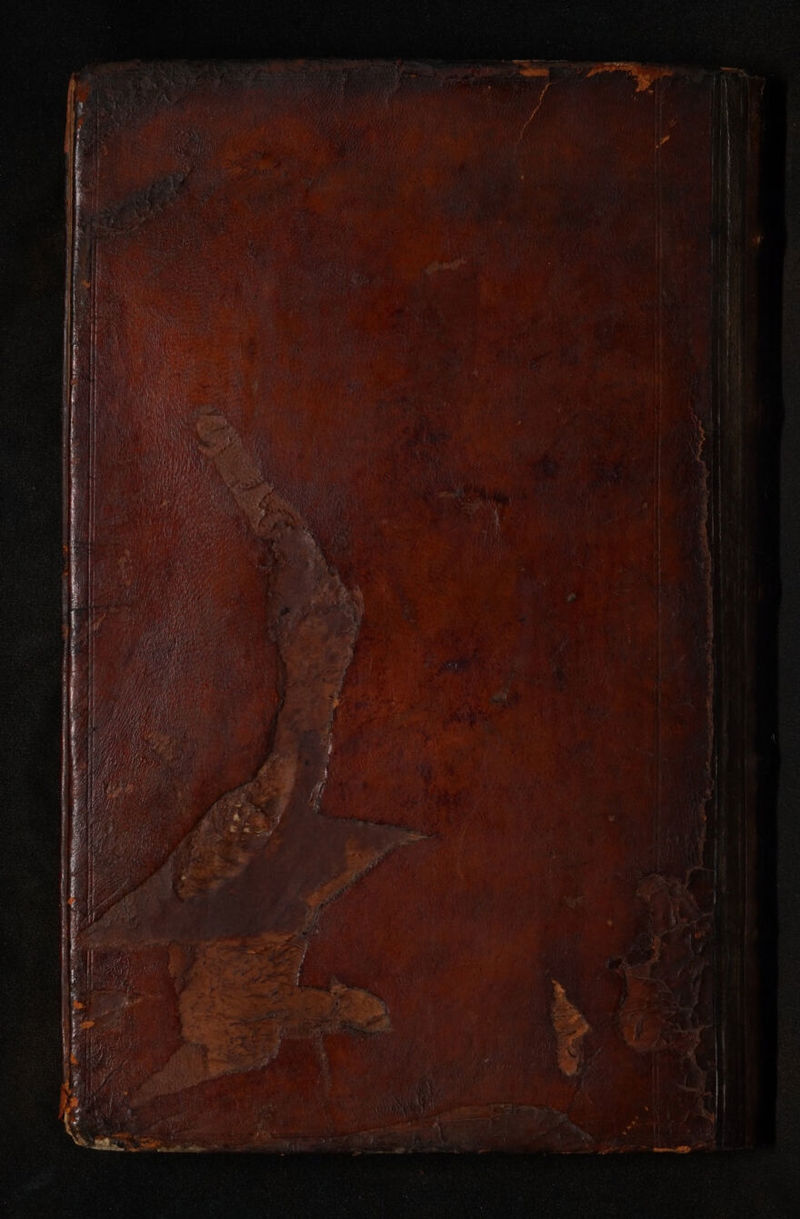 No text description is available for this image