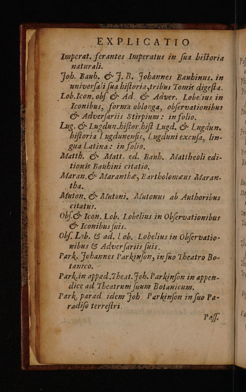 Eau Tipus corp (an EXPLICATIO Juperat. ferantes. Dzperatus im fua bisioria zaturali. job. Baub, € 3. B. Sobannes: Baubinus. in unier[ali [ua bifloria tribus Touris diae(la. Iconibus, formza oblonga, obfervatzonibur € Aduer[ariis Stirpium : in folio. Lug. c Lngdun.biflor.bifl Lud. &amp; Lugdun. bifloria I ugdunenfis, Lugduni excifa, lin- gua Latina zn foli, Mattb. € Matt. ed. Baub.. Maltbeoli edi- tonis Baubini citato, Marau. c Marantbe, Eartbolemeus Maraz. Iba. Muton, ei AMutonz, Afutosus ab Autboribus . €itatur. Obf. Icon. Lob. Lobelius in Obfervationibus € Iconibus [uis. Obf, Lob. € ad. Lob. Lobelius in Obfervatio- uibus € Adver [arzis fuis. Park. Jobannes Par binfoz, in fuo Theatro Bo- 1427C0. | Park,in appad .1beat. fob. arkinfon in appen- dict ad Theatrum [uum Botanicum. Park, parad. idem job. Parkinjon in fuo Pa- radfe terreftrz. VN