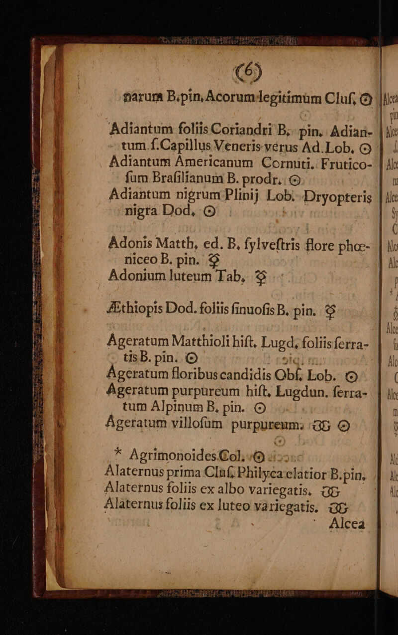 eO fum Brafilianum B. prodr. (o nigra Dod, (9 Adonis Matth, ed. B, fylveftris lore phoc- niceo B. pin. $9 Adonium luteum Tab, $$... Zthiopis Dod. foliis finuofis B, pin. $$ tis B. pin. ( roiqin Ageratum floribus candidis Obf, Lob. Ageratum purpureum hift, Lugdun. ferra- tum Alpinum B, pin. Ageratum villofüm. purpureum; Gb * Agrimonoidesol. «(9:155 Alaternus prima Clnf, Philyca elatior B.pin. Alaternus foliis ex albo variegatis, Gb Alaternus foliis ex luteo variegatis, Gf Alcea