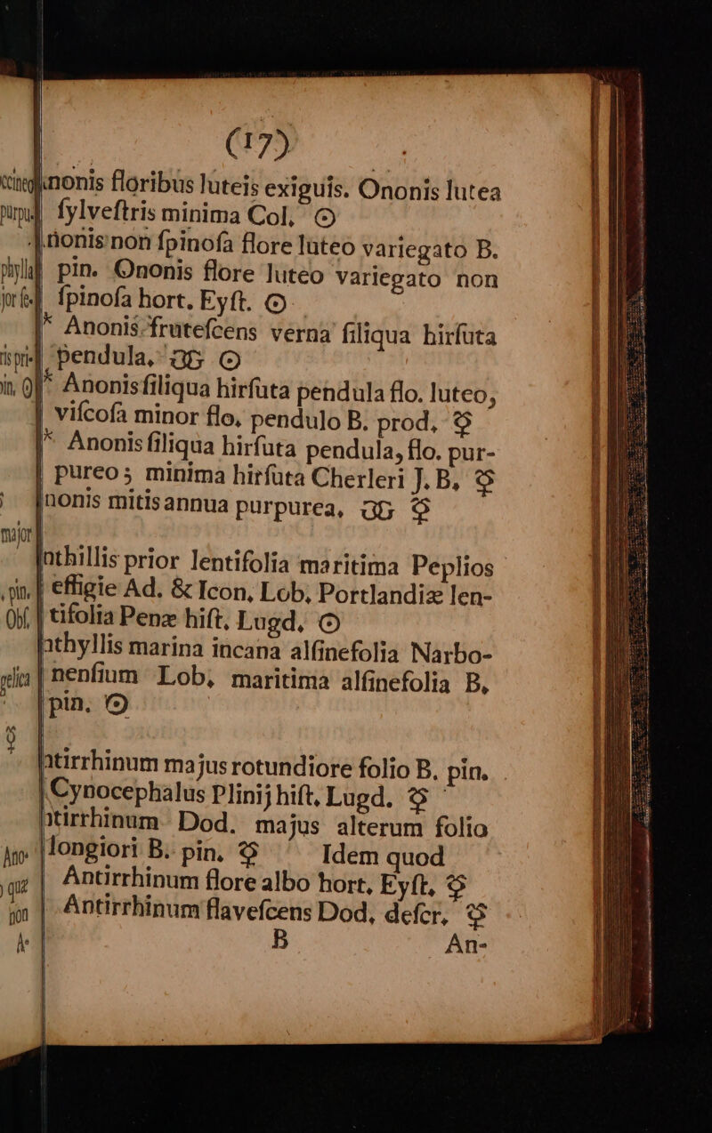 nonis floribus luteis exiguis. Ononis lutea | fylveftris minima Col, (o nonis'non fpinofa flore luteo variegato B. | pin. Ononis flore luteo variegato non | fpinofa hort. Eyft. o. |' Anonis.-frutefcens verna filiqua hirfuta pendula, 35 (o | | Anonisfiliqua hirfuta pendula flo. luteo, | vifcofa minor flo, pendulo B. prod, $ [* Anonisfiliqua hirfuta pendula, flo. pur- | Pureo5 minima hirfüta Cherleri J. B, o [nonis mitisannua purpurea, 35 $9 | effigie Ad. &amp; Icon, Lob, Portlandize len- | tifolia Penz hift, Lugd, nthyllis marina incana alfinefolia Narbo- |nenfium Lob, maritima alfinefolia B, |pin. (9 : jus rotundiore folio B, pin. . | Cynocephalus Plinij hift, Lugd. 9 Dirrhinum Dod. majus alterum folio |longiori B. pin, $9 Idem quod | Antirrhinum flore albo hort, Eyft, $$ Antirrhinum flavefcens Dod, defer, o B ÁAn-