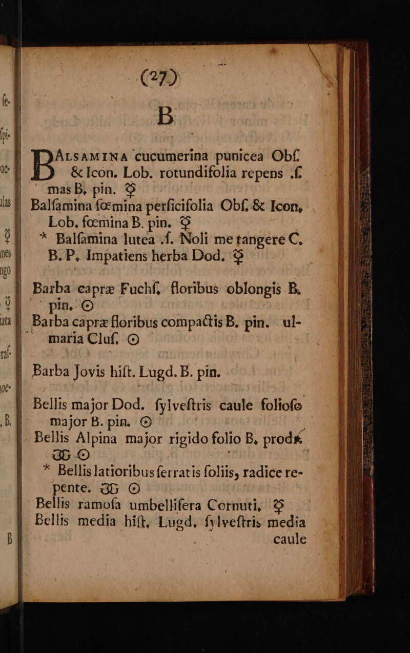B mas Db, pin. Balfamina fotmina perficifolia Obf, & Icen, Lob. foemina B. pin. $9 * Balfamina lutea .f. Noli me tangere C. B. P. Impatiens herba Dod. € Barba capre F uchf;. floribus oblongis B. pin. Barba capra floribus compactis B. pin. ul- mariaCluf, O — Barba dits hiít. Lugd. B. pin. major B.pin. O- 3b * Bellislatioribus ferratis foliis, radice re- pente. Gb (OO Bellis ramofa umbellifera Cornuti, $$ Bellis media hift, Lugd. fylveftris media caule ——————X m