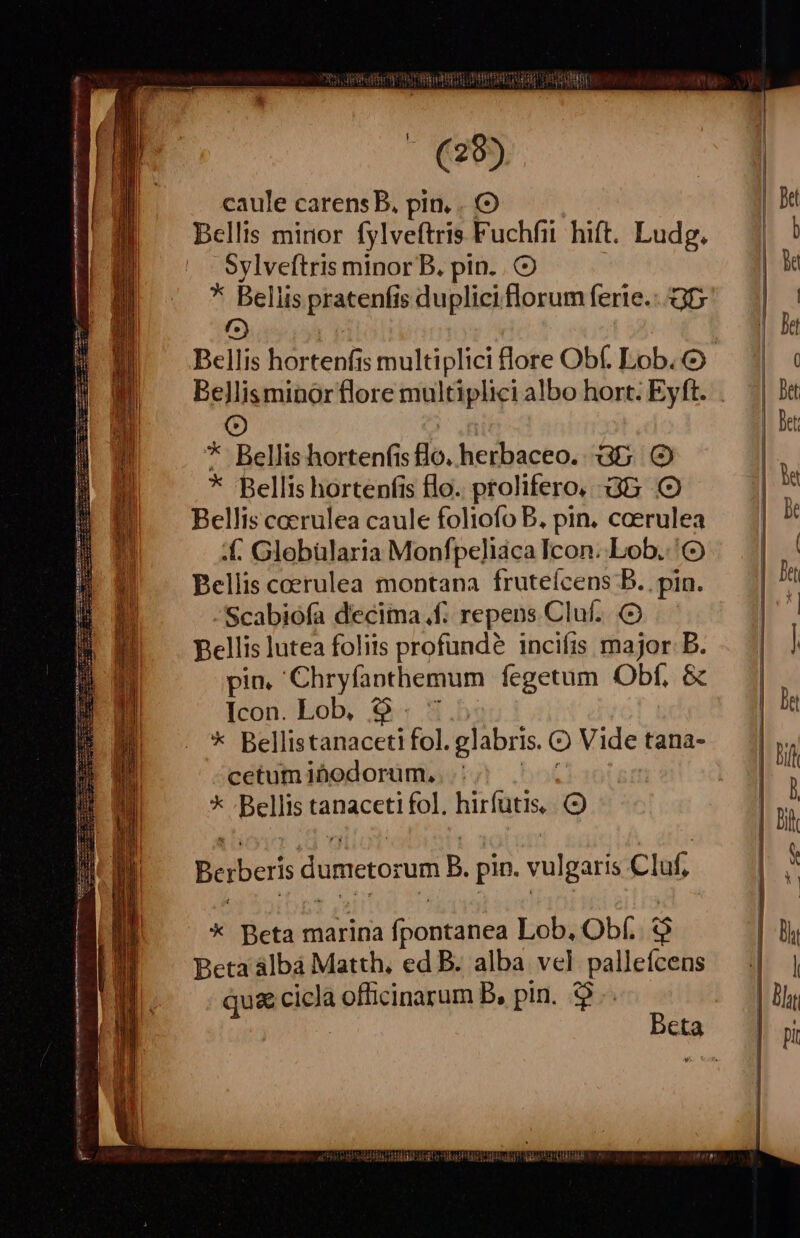 ——— — S cimo nns Xt E (28) caule carens B, pin. . (O Bellis mirior fylveftris: Fuchfii hift. Ludg. Sylveftris minor B. pin. . * Bellis pratenfis duplici florum ferie.--35 (c) Bellis hortenfis multiplici lore Obf. Lob. Bellisminorflore multiplici albo hort. Eyft. o, * Bellis hortenfis Ho. herbaceo. Gb. (O * Bellis hortenfis flo. prolifero, Gb .O Bellis coerulea caule foliofo B, pin. coerulea .£[. Glebülaria Monfpeliaca Icon. Lob. Bellis coerulea montana fruteícens DB. pin. Scabiofa deciina.f. repens Cluf. Bellis lutea foliis profunde inciíis major B. pin. Chryfanthemum fegetum Obf, & Icon. Lob, $$ * Bellistanaceti fol. glabris. O Vide tana- cetum ibodorum. * ; Bellis ARP hirfütis, O Berberis d dumetorum B. pin. vulgaris Cluf, * Beta marina fpontanea Lob. Obf. $$ Beta álbá Matth, ed B. alba vel palleícens qu& cicla MAN B, pin. $.. Beta