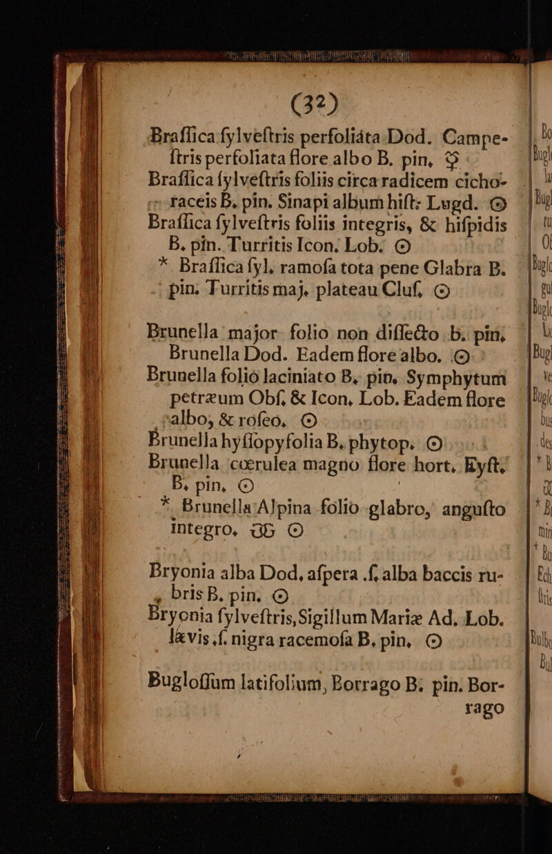 Braflica fylveftris perfoliáta. Dod. Campe- ftris perfoliata flore albo B. pin, $6 Braffica fylveftris foliis circa radicem cicho- :: racels D, pin. Sinapi album hift: Lugd. (9 Braílica fylveftris foliis integris, & hifpidis B. pin. Turritis Icon; Lob. (o * Braflicafyl. ramofa tota pene Glabra B. .| pin; Turritis maj. plateau Cluf, (o Brunella:' major- folio non diffe&o b. pin, Brunella Dod. Eadem flore albo. :(9 Brunella folio laciniato B, pin, Symphytum petreum Obf, & Icon, Lob. Eadem flore .salboy & rofeo, (O Prunella hy (lopyfolia B, phytop. (OQ... : Brunclla. coerulea magno flore hort, Ryft/ D, pin, (O | : . Brunella Alpina folio glabro, angufto Integro, Gb (O * Bryonia alba Dod, afpera .f, alba baccis ru- , brisB. pin. (9 | Brycnia fylveftris, Sigillum Mariz Ad, Lob. l&vis f. nigra racemofa B. pin, (2