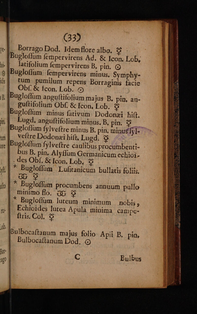 . Borrago Dod. Idem flore albo. o |Bugloffum fempervirens Ad. &amp; Icon. Lob, | latifolium fempervirens B, pin. Q |Bugloffum fempervirens minus, Symphy- | tum pumilum repens Borraginis facie || Obf &amp; Icon. Lob. (5 [Bugloffum anguftifolium majus B. pin, an- |. guftifolium Obf. &amp; Ícon, Lob. [2 Bugloflum minus fativum. Dodonzi hift. |. Lugd. anguftifolium minus, B, pn. 9. IBugloflum fylveftre minus B. pin, minusfyl- |. veftre Dodonaii hift, Lued. Ibugloffum fylveftre caulibus procumbenti- bus B. pin, Alyffüm Germanicum echioi- | . des Obf. &amp; Icon, Lob, |  Bugloffum | Lufitanicum bullatis foliis, | db | ^ Bugloffum procumbens annuum pullo | minimo flo. 35 9 |^ Bugloffum. luteum. minimum nobis ; Echioides lutea Apula minima campe- flris. Col. &amp;$ C