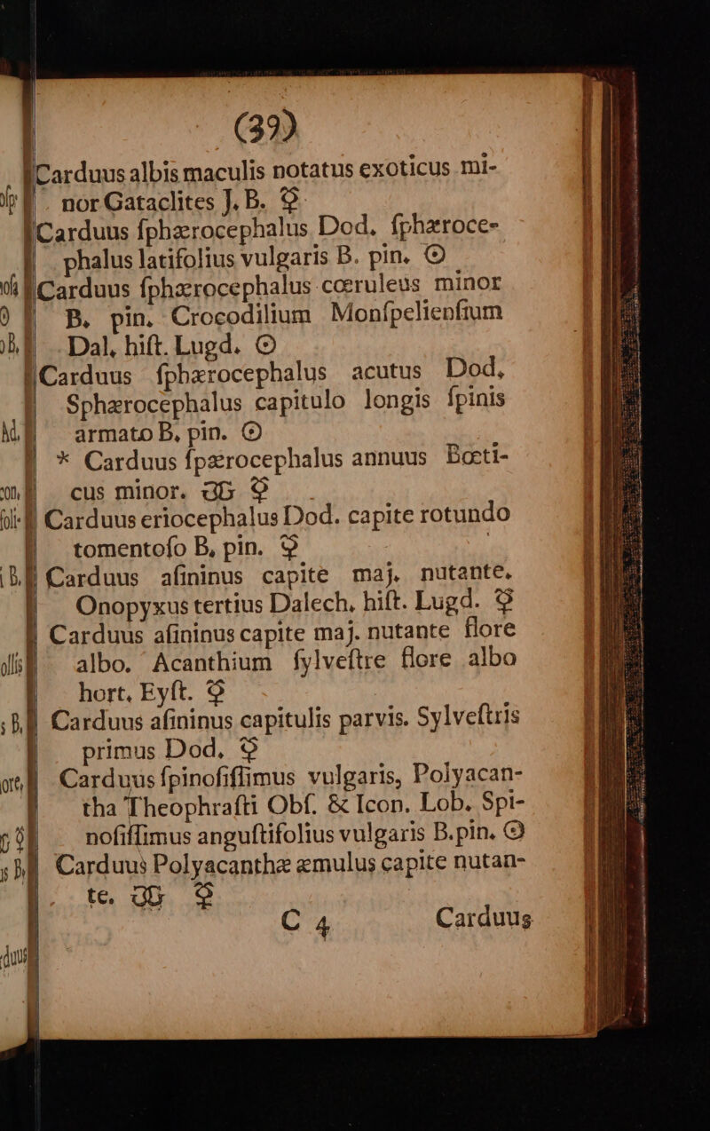 Carduus albis maculis notatus exoticus mi- nor Gataclites J. B. 9 Carduus fphaerocephalus Dod. fpheroce- phalus latifolius vulgaris B. pin. € Carduus fphazrocephalus ceeruleus minor B. pin. Crocodilium Monfpclienfrum Dal. hift. Lugd. O Sphzrocephalus capitulo longis fpinis armato B, pin. O * Carduus Ípzirocephalus annuus Bocti- cus minor. db 9 Carduus eriocephalus Dod. capite rotundo tomentofo B, pin. 9 NT Carduus afininus capite maj, nutante. Onopyxus tertius Dalech, hift. Lugd. $9 Carduus afininus capite maj. nutante flore albo. Acanthium fylveftre flore albo hort, Eyft. 9 Carduus afininus capitulis parvis. Sylveftris primus Dod, € Carduus fpinofiflimus vulgaris, Polyacan- tha Theophrafti Obf. &amp; Icon. Lob. Spi- nofiffimus anguftifolius vulgaris B.pin. Carduus Polyacantha aemulus capite nutan- t. gb 9