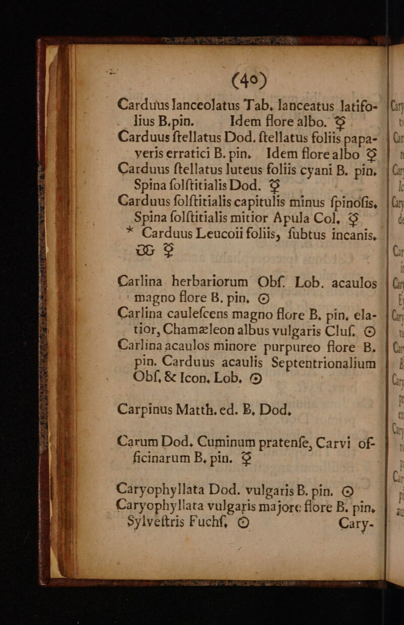(49) Carduus lanceolatus Tab. lanceatus latifo- lius B.pin. Idem flore albo. Carduus ftellatus Dod. ftellatus foliis papa- veriserratici B. pin. Idem florealbo &amp;$ Carduus ftellatus luteus foliis cyani B. pin, Spina folftitialis Dod. *$ Spina fol(titialis mitior Apula Col, $ * Carduus Leucoii foliis, fubtus incanis, gb $9 magno flore B. pin, Carlina caulefcens magno flore B. pin, ela- tior, Chamzleon albus vulgaris Cluf. Carlina acaulos minore purpureo flore B. pin. Carduus acaulis Septentrionalium Obf, &amp; Icon, Lob. (9 Carpinus Matth. ed. E, Dod, Carum Dod. Cuminum pratenfe, Carvi of- ficinarum B, pin. $9 Caryophyllata Dod. vulgaris B. pin. (2 Caryophyllata vulgaris majore flore B. pin, Sylveítris Fuchf, Cary-
