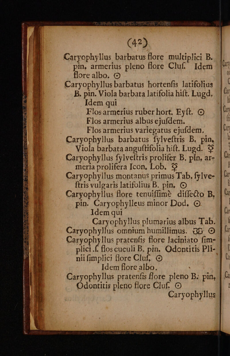 Sncetisbl s... aas EIDN | T m Peu MEE m E TE c Aca z v -— pO : Caryophyllus barbatus flore multiplici B. pin. armerius pleno flore Cluf. Idem flore albo. Caryophyllus barbatus hortenfis latifolias B. pin. Viola barbata latifolia hift. Lugd. Idem qui losarmerius ruber hort. Eyít. Flos armerius albus ejufdem. Flos armerius variegatus ejufdem. Caryophyllus barbatus fylveftris B. pin, Viola barbata anguftifolia hift. Lugd. 9$ meria prolifera Icon, Lob. $$ Caryophyllus montanus primus Tab. fylve- ftris vulgaris latifolius B. pin, Caryophyllus flore tenuiffim? diffecto B, pin. Caryophylleus minor Dod. ( Idem qui Caryophyllus plumarius albus Tab. Caryophyllus omnium bumillimus. Gb. O Caryophyllus pratenfis flore laciniato fim» plici .f. flos cuculi B. pin. Odontitis Pli-. nii fimplici lore Cluf, | Idem flore albo. Caryophyllus pratenfis flore pleno B. pin, Odontitis pleno flore Cluf. O Caryophyllus