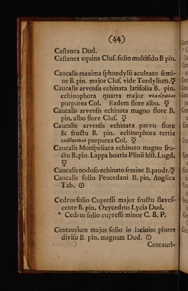 ———————— án aÓ I Ó( € $2 TQ uu ML risu uiris TES EL EIL T VINE NITAtn rt o 4 Vitr sn win NICO B d xw wv. L Atc 1 iat TAa AT AV —— BM dd ' Y ifie dura en trn | 8b iv a Qoid vom tidie Ue T2 M deinem n 2/1 AH Éviter vig Jg (44) Caftanea Dod. Caí(tanea equina Cluf. folio multifido B pin. ne B. pin. major Cluf, vide Tordylium.$ Caucalis arvenfis echinata latifolia B. pin. echinophora quarta major A«z2wv»er purpurea Col, Eadem flore albo. $9 Caucalis arvenfis echinata magno flore B, pin. albo flore Cluf. $ Caucalis arvenfíi s echinata parvo flore &amp; frudu B. pin. echinophora tertia AszltevXor purpurea Col, 9 Caucalis Monfpeliaca echinato magno fru- &amp;u B.pin. Lappa boaria Plinii hift. Lugd, Caucalis nodofo echinato femine B.prodr.? Caucalis folio Peucedani B. pin, Anglica Tab, Oo; Cedrusfolio Cuprefft major fructu flavcf- cente B. pin, Oxycedrus Lycia Dod. * Cedius folio cuprefít minor C. B. P. Centaurium majus folio in lacinias plures divifo B. pin, magnum Dod. CO Centaurl-
