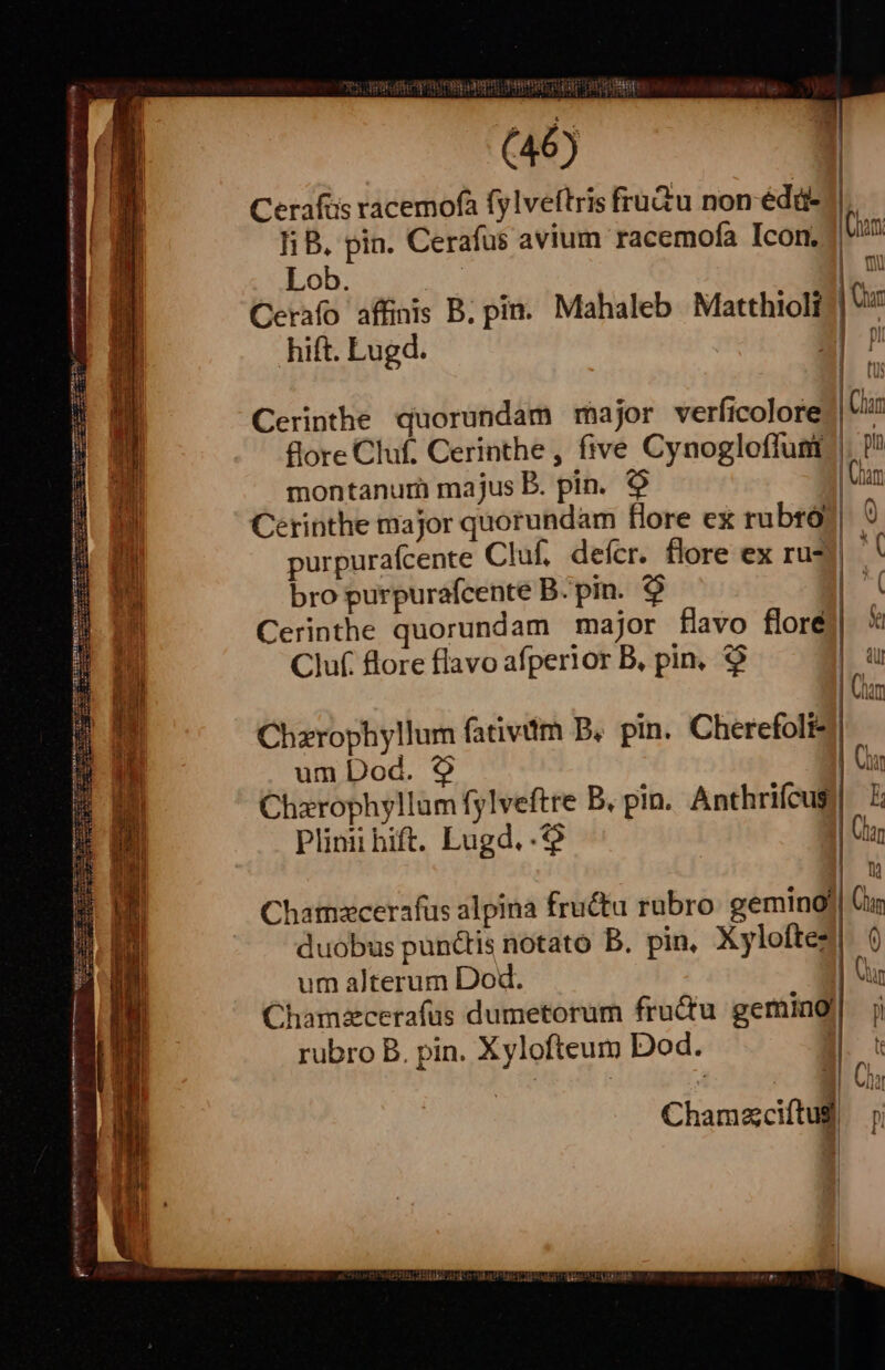 ER erm ST ITEETEEEE sale (46) Cerafüis racemofà fylveftris fru&amp;u non édü- Ii B. pin. Cerafus avium racemofa Icon. Lob. | Cetrafo affinis B. pin. Mahaleb Matthioli hift. Lugd. Cerinthe quorundam major verficolore | Cun &amp;ore Cluf. Cerinthe , five Cynogloflunt?|, ? montanuri majus B. pin. $9 | Cerinthe major quorundam flore ex rubro?| 9 purpurafcente Cluf. deícr. flore ex rue bro purpurafcente B. pin. 9 Cerinthe quorundam major flavo floré| | Cluf. flore flavo afperior B, pin, $ | Chim Chzrophyllum fativdm D, pin. Cherefoli | um Dod. Chzrophyllum fylveftre B, pin. Anthrifcus Plinii hift. Lugd. .9 Chatmsecerafüs alpina fru&amp;u rubro: gemino!| Cun duobus punctis notato B. pin, Xyloftez| 9 um alterum Dod. : Chamacerafus dumetorum fructu gemino rubro B. pin. Xylofteum Dod. | Chamzciftug