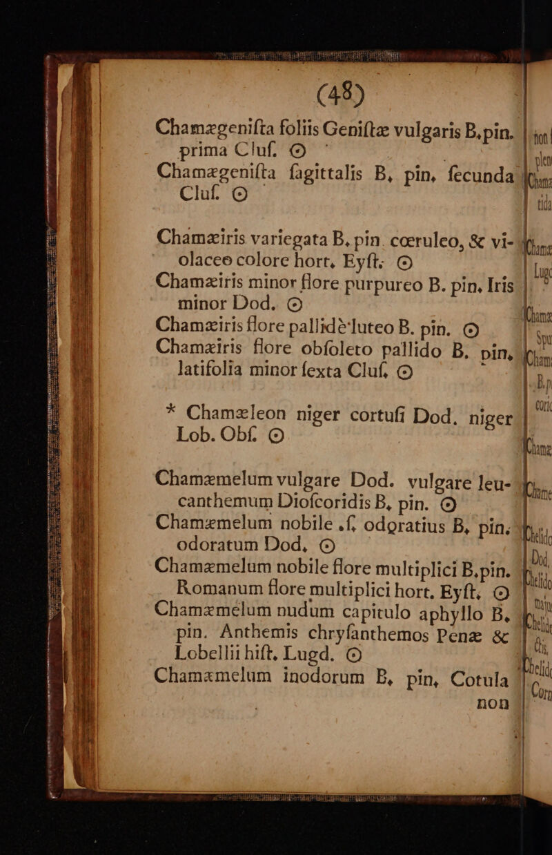 ea aqu migrat ge ospr ] (48) | HE Chamzgenifta foliis Geniftze vulgaris B.pin. | ron prima Cluf. 9 ' | :| oen Chamagenifta fagittalis B, pin, fecunda fen Clu (OO | d 4 Ud Chamziris variegata B, pin. coeruleo, &amp; vi- Mln: olacee colore hort, Eyft. (o | Lux Chamziris minor flore purpureo B. pin. Iris |. ? | minor Dod. ( Kom: 2 Chamziris flore pallid?luteo B. pin. (9 gw tn Chamzairis flore obfoleto pallido B, pin, v à c latifolia minor fexta Cluf, ES m ! | * Chamzleon niger cortufi Dod. niger. Lob. Obf. (o V M IP b.| Chamamelum vulgare Dod. vulgare leu-7 canthemum Diofcoridis B, pin. Chamzmelum nobile .f; odoratius B, pin. | odoratum Dod, (9 Chamamelum nobile flore multiplici B.pin. | Romanum flore multiplici hort, Eyft, (9 ' Chamzmelum nudum capitulo aphyllo B, pin. Anthemis chryfanthemos Penz &amp; Lobellii hift, Lugd. Chamamelum inodorum B, pin, Cotula | 1 | uy