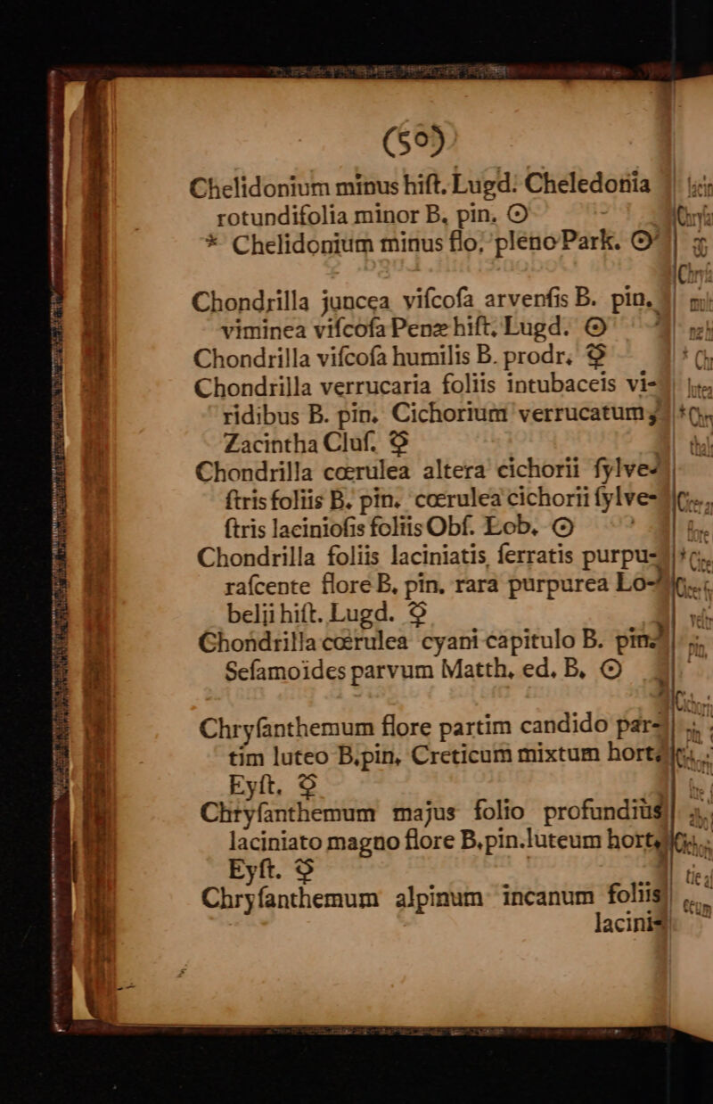 , á- - e - L a . —SA ^4 OA w tmemeememi m TUDEANSC Uu Mtn rtm Ha k TETTE tt STEHT WAHR WR yw ya u i iato, HI VEEAT mmampiiiud ij te tt. rry dene d Ld WIRENPTM Irc CSEY VT NI 4 esr APT Chond;jilla juncea vifcofa arvenfis B. pin. 1! pj viminea vifcofa Penz hift, Lugd. Chondrilla vifcofa humilis B. prodr, € tC Chondrilla verrucaria foliis intubaceis vi-3 1s. ridibus B. pin, Cichorium verrucatum 32 0. Zacintha Cluf. $ | du Chondrilla coerulea altera cichorii fylve47| ftrisfoliis B. pin. coerulea cichorii fylv fina (tris laciniofis foliis Obf. Eob. (9 Ai Chondrilla foliis laciniatis, ferratis purpu-g*c.. rafícente flore B, pin, rara purpurea Lo-Ji.... belii hift. Lugd. 9 nh Chondrilla coirulea cyani capitulo B. pinzd. Sefamoides parvum Matth, ed. B. O3. - Mio: Chryfanthemum flore partim candido par4| s. tim luteo B.pin, Creticum mixtum hort; Eyít. 9 | Chtyfanthemum majus folio profundius] 5. laciniato magno flore B.pin.luteum hortqlios... Eyft. 9 - | Lie ;j Chryfanthemum alpinum incanum folus), | lacini$:. Mac