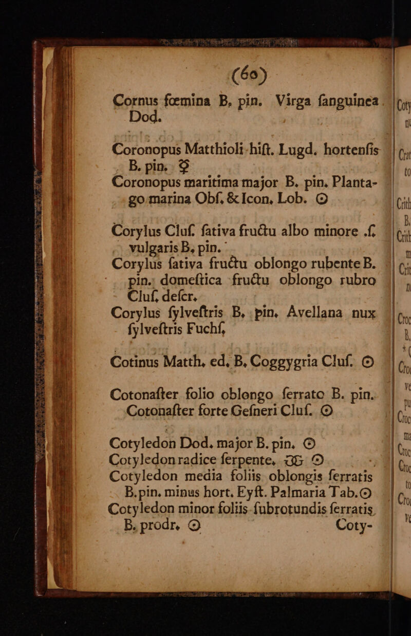 Am HESS eem) mmm c FE TUTUTUUSESUNE En em rn Ii - aided alo Sour EE d reet ed 3 à us [negar Tipi rq carent p DM 32/ M M HÓÁ t Fal QA —Á ARCA Uo M z E^ l | | l (60) Cornus foemina B. pin. Virga fanguinea Dod. Coronopus Matthioli-hift. Lugd. hortenfis B. pin, $9 go marina Obf, & Icon, Lob. ( Corylus Cluf. fativa fru&u albo minore .f. vulgaris B, pin. Corylus fativa fru&u oblongo rubente B. pin.: domeftica fru&u oblongo rubro Cluf, defcr. Corylus fylveftris B, pin, Ávellana nux fylveftris Fuchf, Cotinus Matth, ed, B. Coggygria Cluf. Cotonafter folio oblongo ferrato B. pin. Cotonafter forte Gefneri Cluf. (2 Cotyledon Dod. major B. pin. O Cotyledonradice ferpente, Gb. Cotyledon media folis oblongis ferratis B.pin. minus hort, Eyft. Palmaria Tab. Cotyledon minor foliis fübrotundis ferratis B. prodr. 9 Coty-