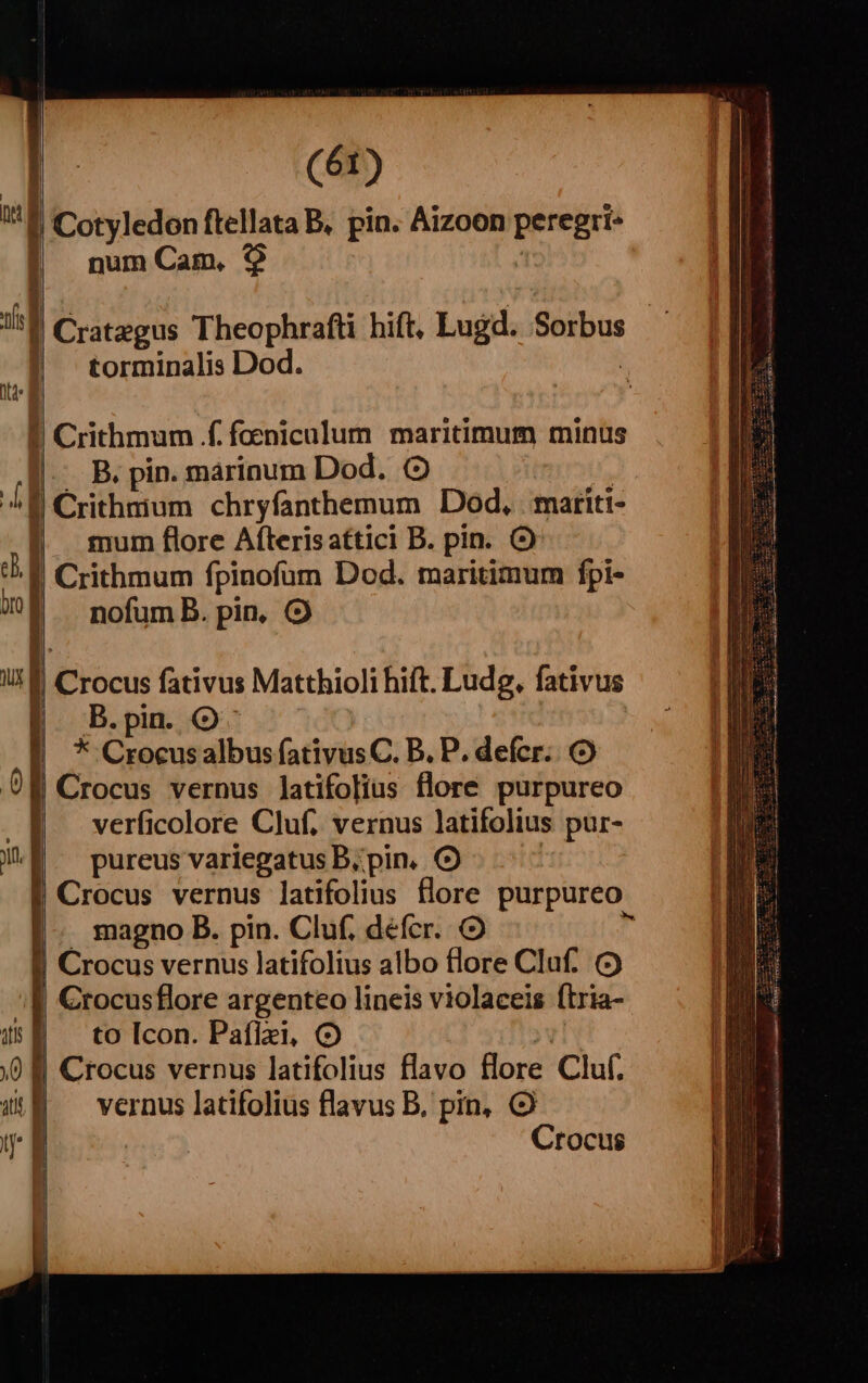 | | Cotyledon ftellata B. pin. Aizoon peregri- num Cam, 9$ is Cratzgus Theophrafti hift. Lugd. Sorbus torminalis Dod. | Crithmum f. foeniculum. maritimum minus |. B. pin. marinum Dod. C | Crithmum chryfanthemum Dod, | matiti- mum flore Aíteris attici B. pin. O Crithmum fpinofum Dod. maritimum fpi- nofum B. pin, B.pin. O * Crocus albus fativus C. B. P. defer. O Crocus vernus latifolius flore purpureo verficolore Cluf. vernus latifolius pur- pureus variegatus Bipin. Crocus vernus latifolius flore purpureo magno B. pin. Cluf, defcr. Crocus vernus latifolius albo flore Cluf. C) to Icon. Paflazi, (O Crocus vernus latifolius flavo flore Cluf. vernus latifolius flavus B, pin, Crocus