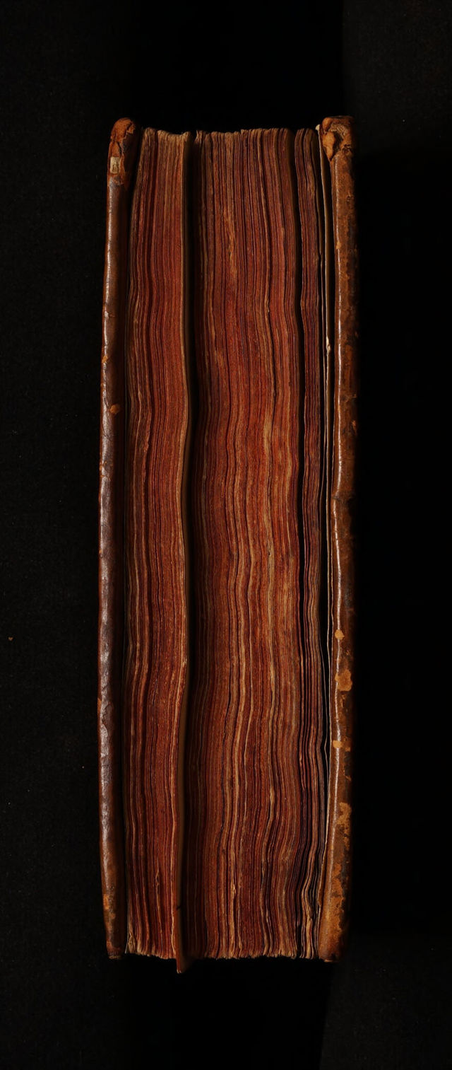 digitised image 3