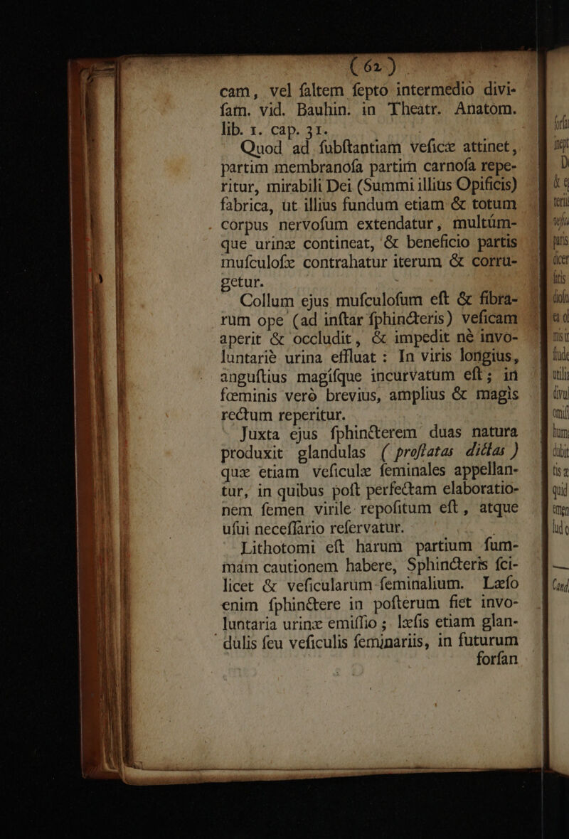 cam, vel faltem fepto intermedio divi- fam. vid. Bauhin. in Theatr. Anatom. lib. 1. cap. 31. | Quod, ad fubftantiam vefici& attinet, partim membranofa partim carnofa repe- ritur, mirabili Dei (Summi illius Opificis) fabrica, üt illius fundum etiam & totum corpus nervofum extendatur , multüm- que urinz contineat, & beneficio partis mufculofe contrahatur iterum & corru- getur. ; Collum ejus mufculofum eft & fibra- rum ope (ad inftar fphin&teris) veficam aperit & occludit, & impedit né invo- luntarié urina effluat : In viris longius, anguítius magífque incurvatüm eft; in faeminis veró brevius, amplius & magis rectum reperitur. : - Juxta ejus fphincterem duas natura produxit glandulas ( proflatas dias ) qux etiam veficule feminales appellan- tur, in quibus poft perfectam elaboratio- nem femen virile: repofitum eft, atque ufui neceflario refervatur. Lithotomi eft harum partium fum- ináim cautionem habere, Sphindteris fci- licet & veficalarum feminalium. | Laefo enim fphin&ere in pofterum fiet invo- luntaria urinx emiffio ;. lzfis etiam glan- dülis feu veficulis femunariis, in futurum | : forfan