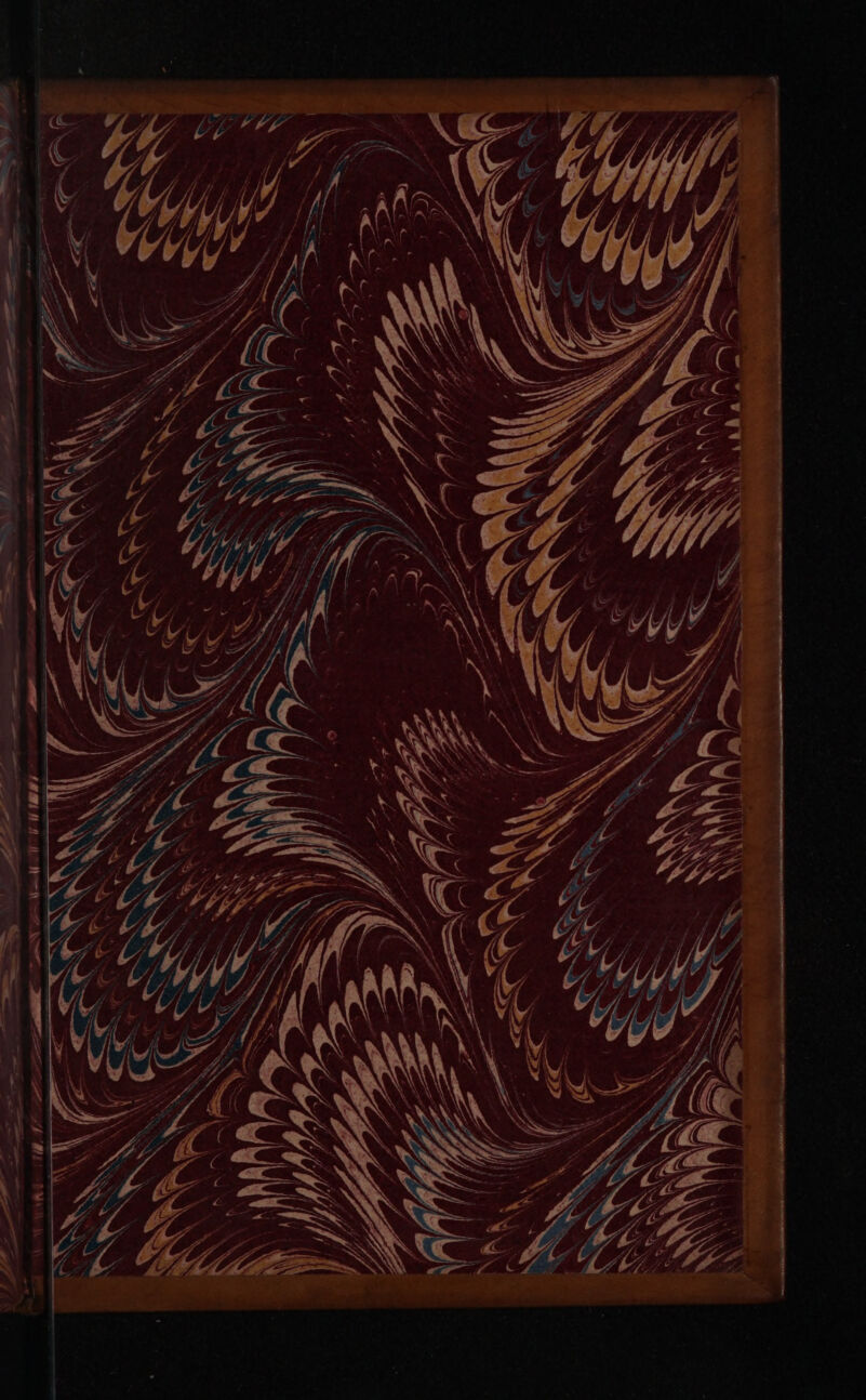 ——M—MÓMÁ Áo