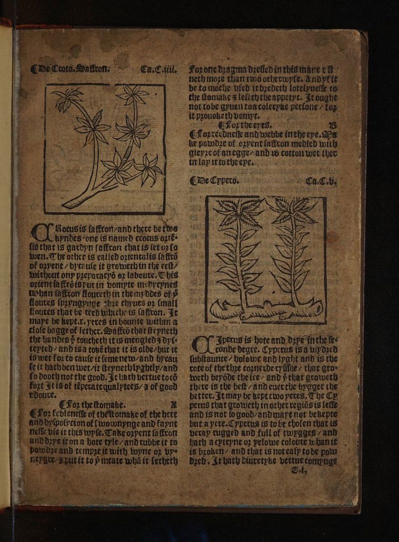 Roeus is laffron / and there be ks undes one is named crocus oꝛiẽ · ſis that is gardyn ſaffron that is ſet oꝛ ſo veils : pn ah, race without onp pzeparacys 82 laboute. This oꝛient la flrõ is put in vomyte medytynes han ſaffron floureth in the myddes of floures ſpzyngynge hre chpues o2 (mall floutes that be reed whiche is ſaffron. It maye be kept. x. yeres in bounte within a the handes 5 toucheth it is mengled a dyl is wer Foi to cauſe it eme new / and bytau le it hath ben wet / it ſteyneth lyghtly / and lo dooth not the good. It 18th vertue toc fozt It is ok teperatequalytees/# of good I Foz the ſtomale. # ¶ Foꝛ kebleneſſe of theſtomake ok the hert powdzeand tempꝛe it with wyne oz bye be to moche bien it bzedeth lotelynelle to the ſtomatze k leleththe appetyt. It oughe not tobe gruen toa colerpte perlone / fog it pꝛouoketh vom pe. 8 Foꝛ the eyes. RNs 7 ON ¶ Joꝛ reedneſſe and webbe in the eye. Ma ke:-powdze of ozyentlaffron medled with gleyzeof anegge / and w cotton wet ther in lay it to the exe. a + CDeCypero, + à Ca. C. b CY Jrerus is hote and dere in the ſes ſubſtaunte / holowe and lyght and is the weth beyode the lee / and 5 that groweth there is the beſt / and euer the bygger the better. It may be kept two pertes, The Cy perus that groweth in other regiös is leſle but a pere. Cyperus is to be choſen that is veray rugged and full of twygges / and ‘le