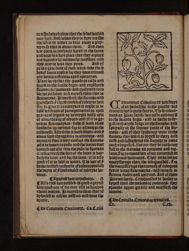ko «ſhadowed place that the ſedes within the ſedes in water to take away a gley» myneſle that is about them. And than tete them be perfytely dꝛyed in the lonne and kent in a dꝛye place that they cozrupt not noʒ rotte by ouermoche moyſture / and they may be kept the. veres. And pk pe can gete none of theſe ſedes / take the le des ol lwete apples foz they haue almooſt one vertue and make egalloperacyon, moyſt in the lecõde degre / and engẽdꝛeth fleumatyke humours / and pꝛofyteth to co leryke perlones / and nopeth them that be fleumatyke; It moyſteth the ſtomake and quencheth Þ thꝛyſt cauſedofcoleryke heet Foz to gyue it tocolerykes it ought to be ſode with iuce of pomegarnettes oz ozen ges / oꝛ of fygues / oz vyneygre with oyle of almondes o of olpues / and yf it be gp: nen to llewmatybes / ſethe it with yſope ſmalache / oꝛ myntes / foꝛ to attempʒe the tol de nelle. A Ho ſethe it with lewet / and ỹ aboue ſayd thynges foz to attempʒe / and cozrect it that it may confogt the ſtomatze Al it be baken in paſte and the wa ter that cometh aut ot it into the paſte be dzonken it reſtrayneththe heet ol the ktuer / boy: deth the colet / and foz the lame / it is allo barke medled withople of roſesappeaſeth Ucumerus Cowcomers ben fruyt ok an herbelyke to the gourde / but itbereth not lo grete fruyte. Theſe coweõ⸗ mers as Ilaac ſayth/ ben colde andmoyſt in the ſeconde degre / and be harde to dy⸗ geſt / and abyde longe in theſtomake / and ſpecyally in the ſenewy parte of the fo: ſtomake they lete it to dygeſt by theyz cold neſle andluffrethnot the ſtomatze to make Jpocras (apth . Cowgourdes be harder to dygeſt than the melons oz pompons / they ¶ De Cptrullo. Cytrons oꝛ eytrulles. Al