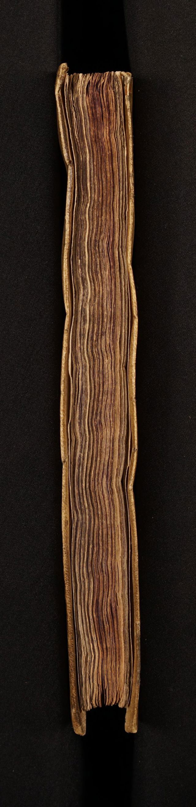 digitised image 3